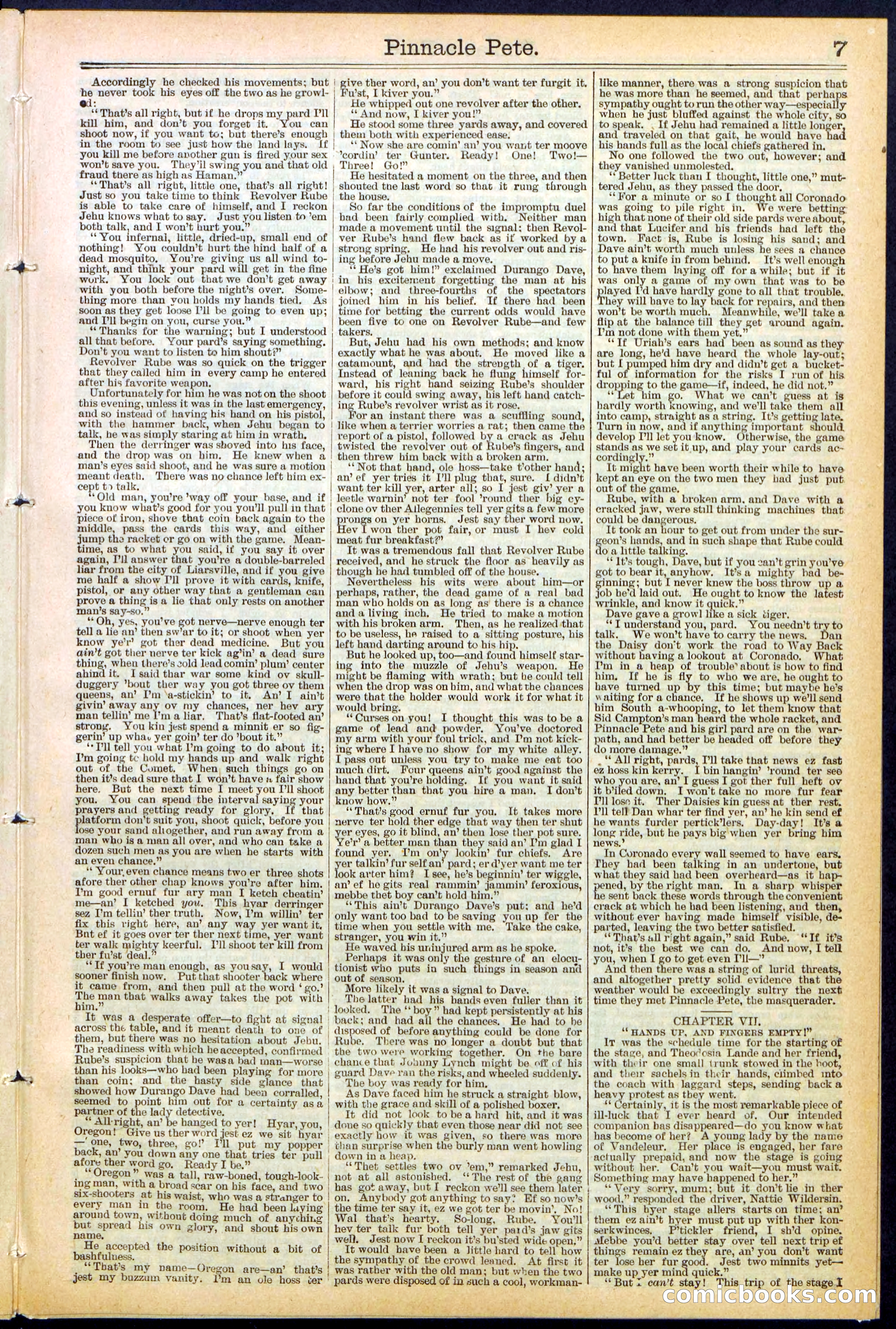 Beadle's New York Dime Library, No. 478 — page 7 of 32