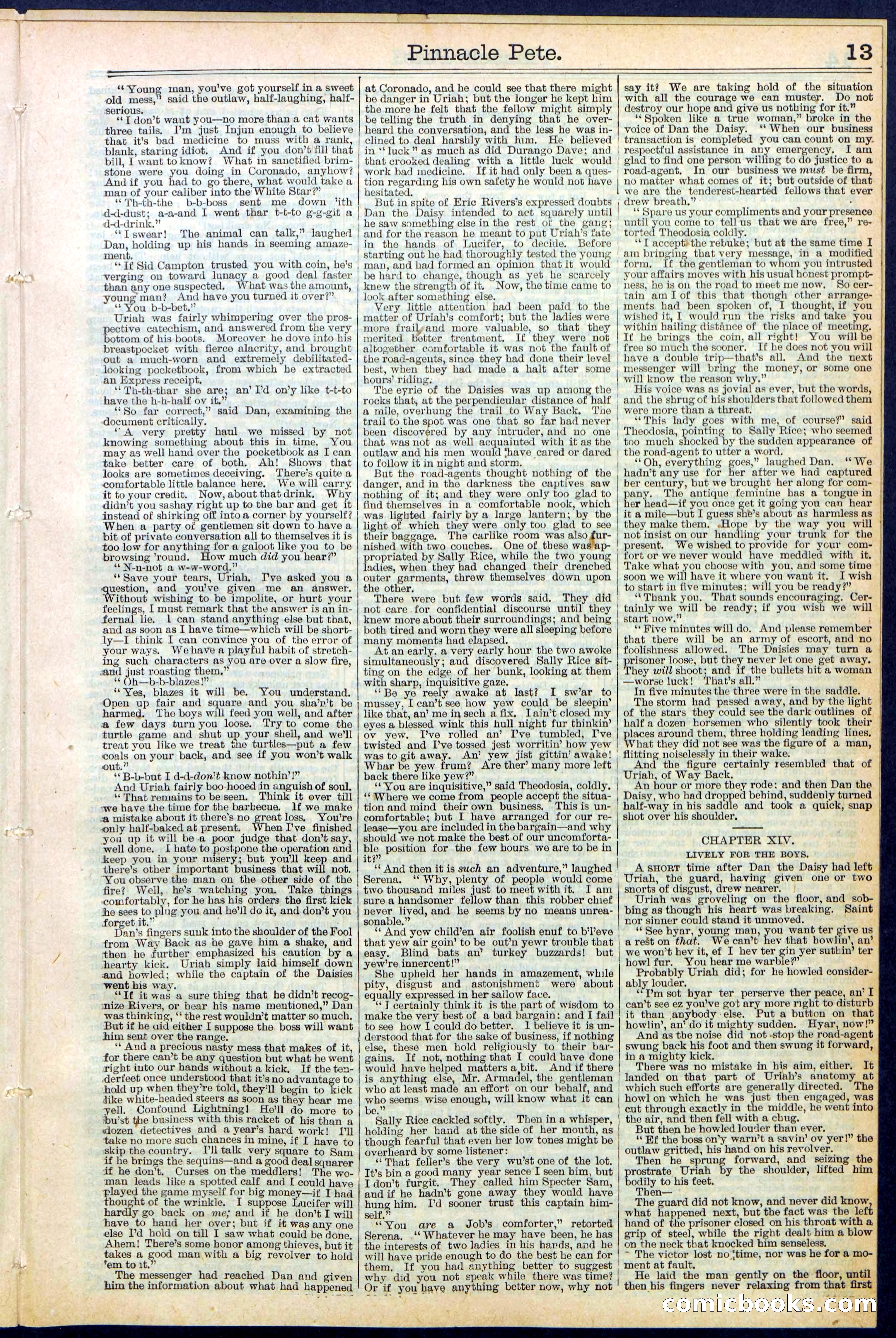Beadle's New York Dime Library, No. 478 — page 13 of 32