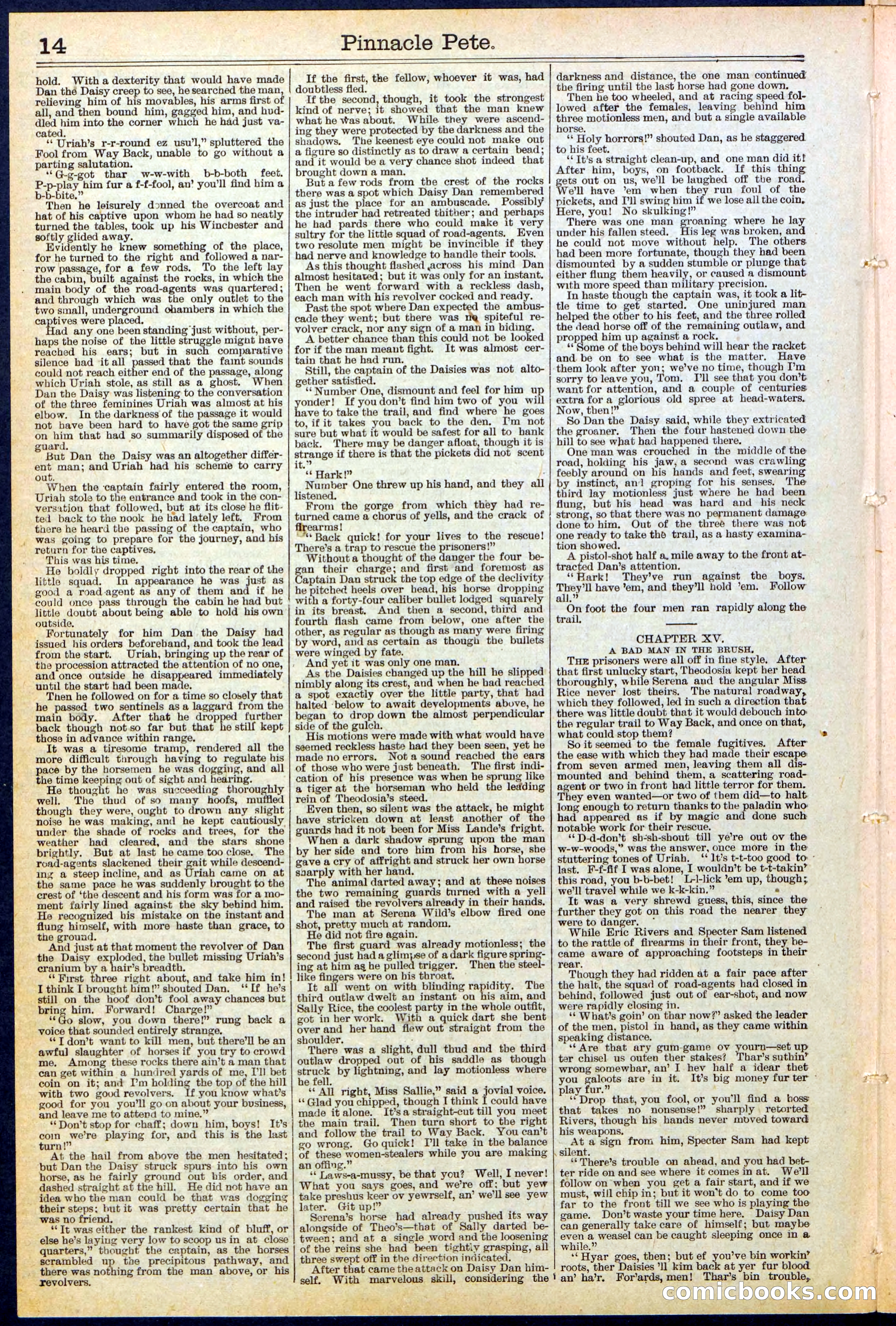Beadle's New York Dime Library, No. 478 — page 14 of 32