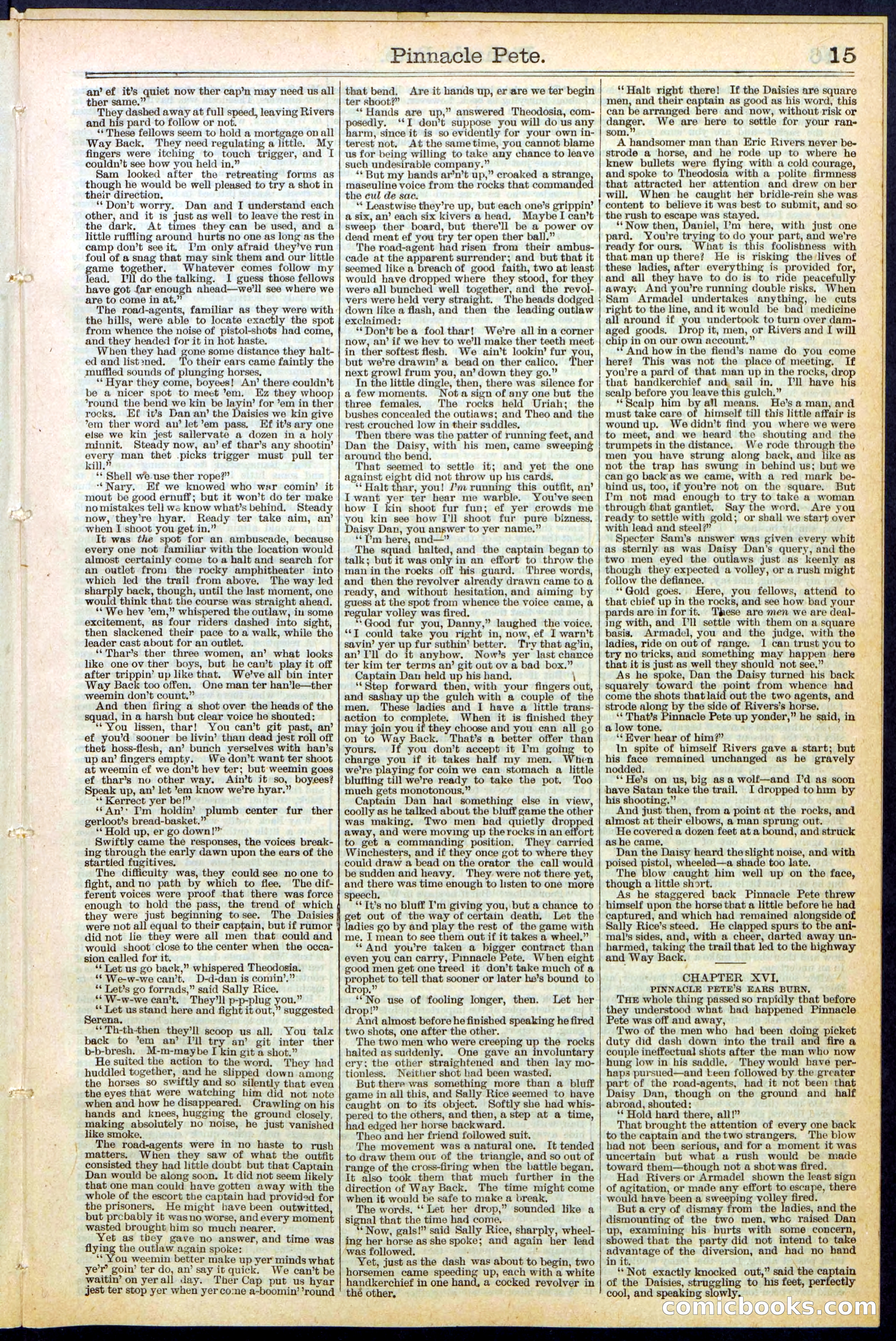 Beadle's New York Dime Library, No. 478 — page 15 of 32