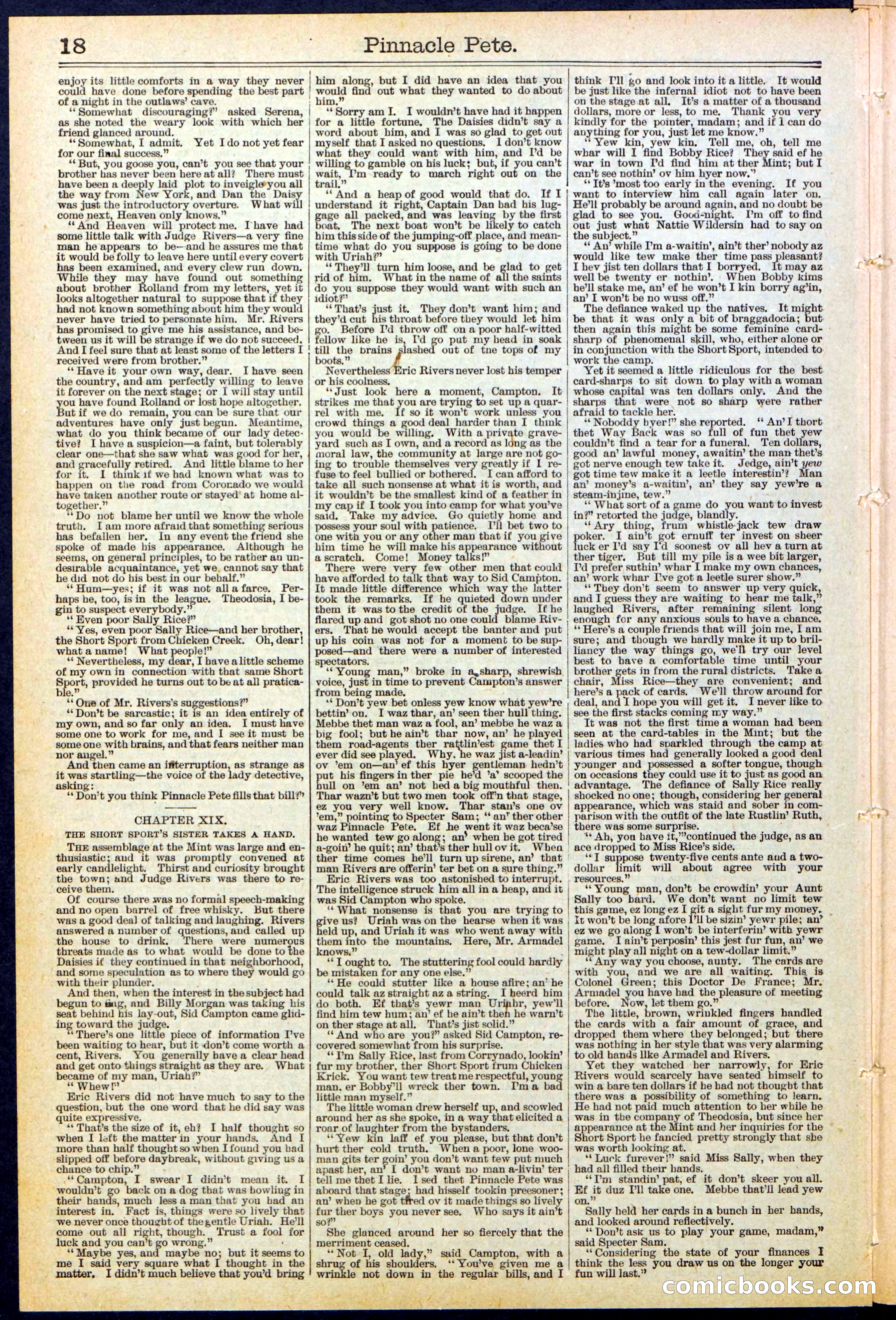 Beadle's New York Dime Library, No. 478 — page 18 of 32