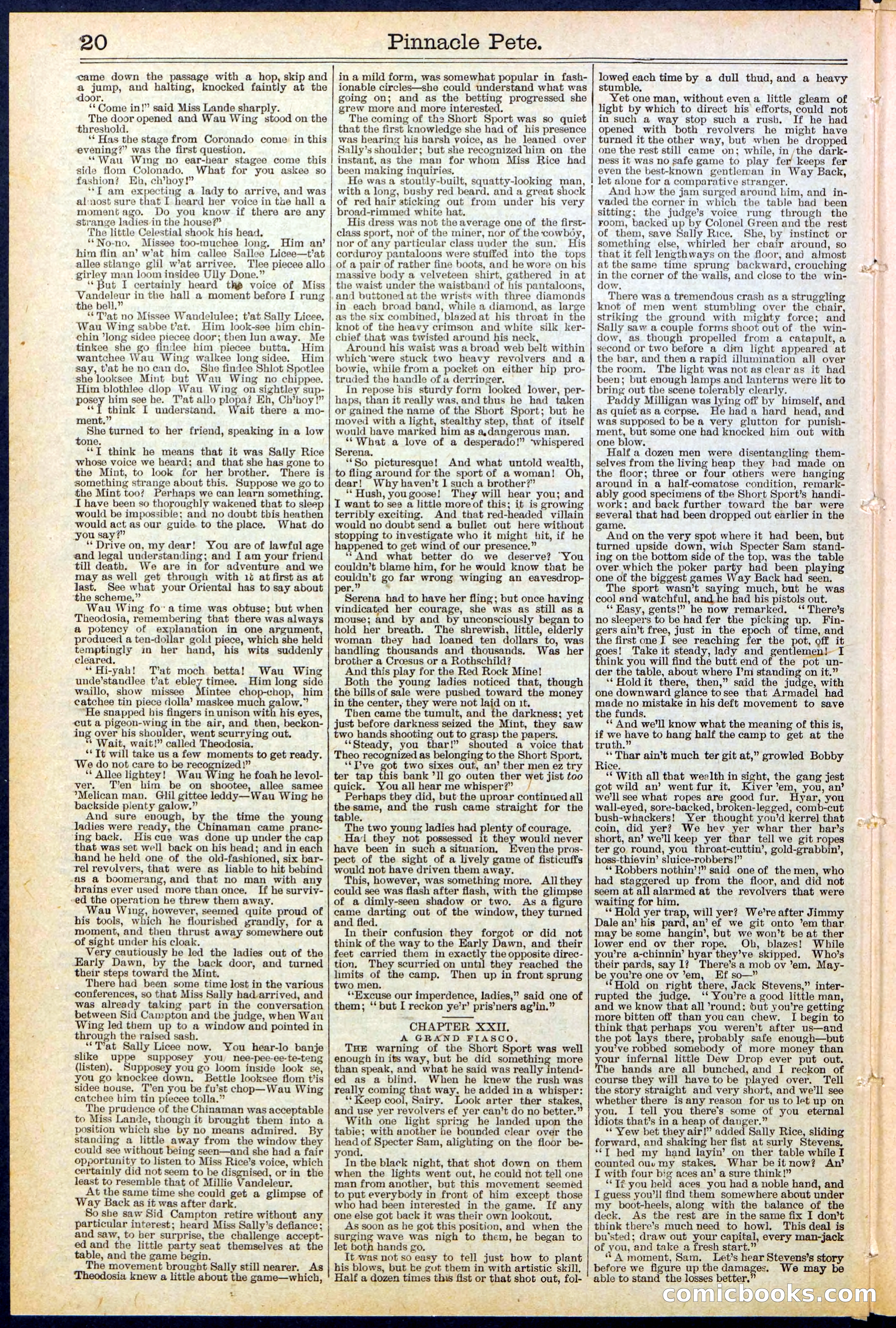 Beadle's New York Dime Library, No. 478 — page 20 of 32