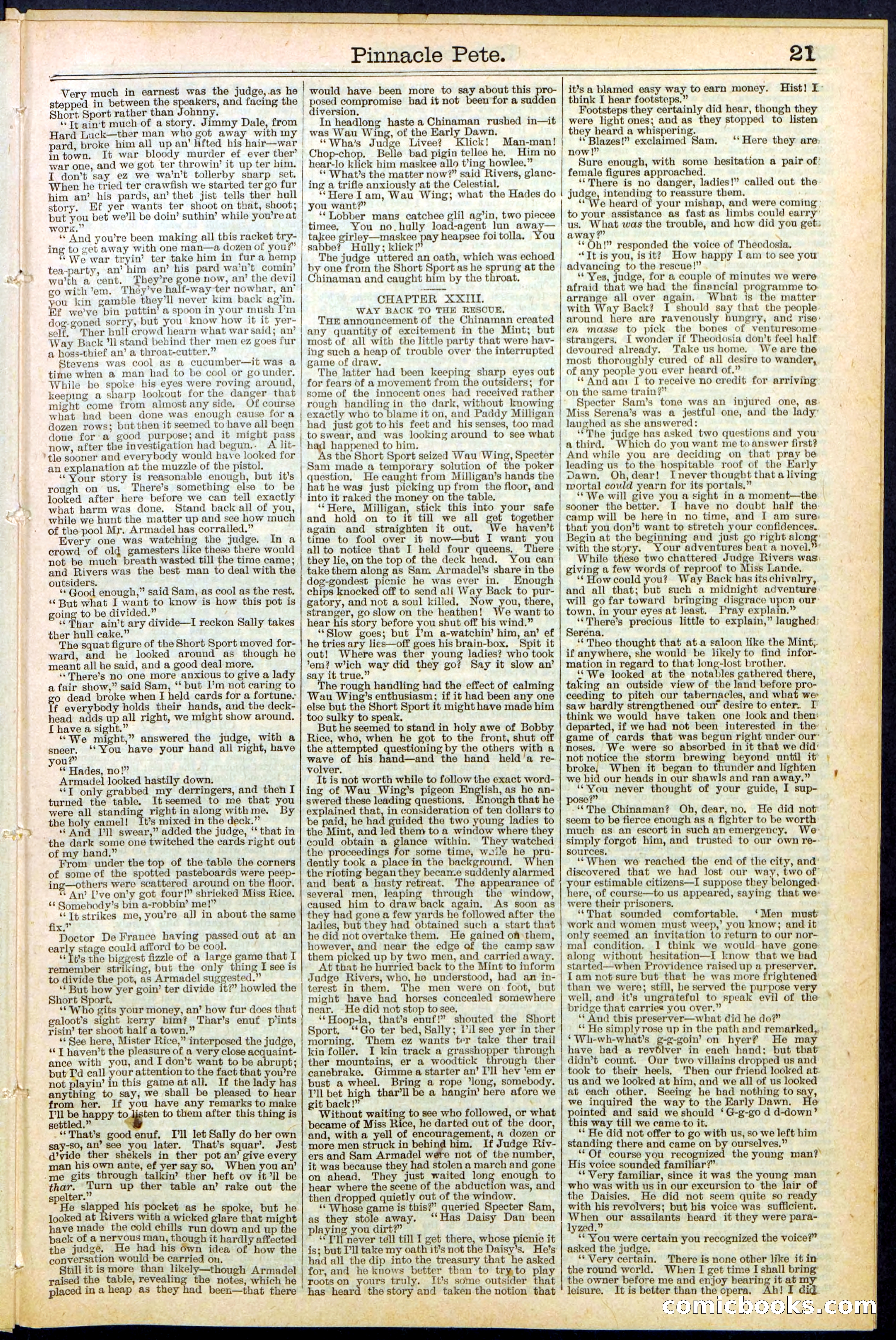 Beadle's New York Dime Library, No. 478 — page 21 of 32