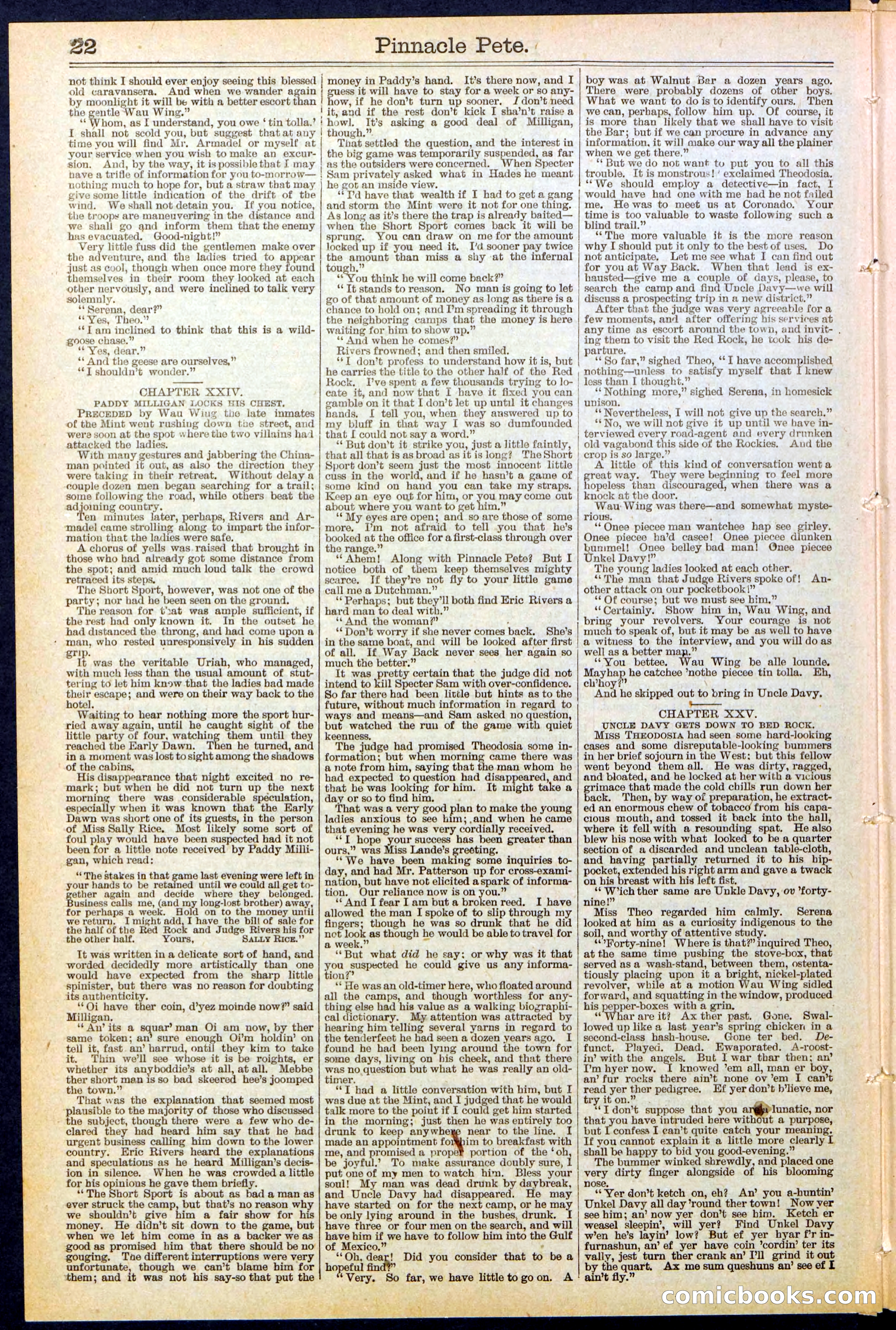 Beadle's New York Dime Library, No. 478 — page 22 of 32