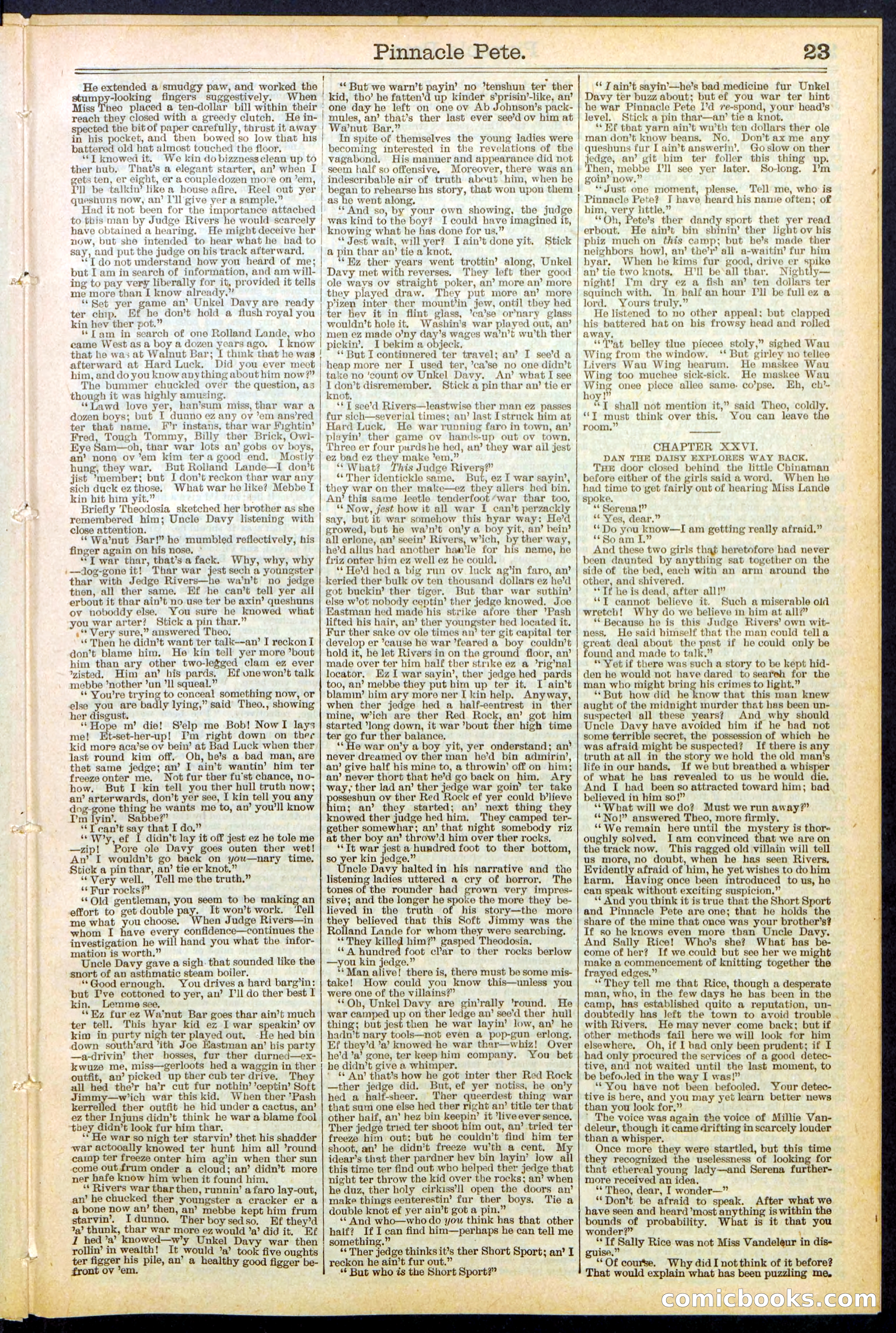 Beadle's New York Dime Library, No. 478 — page 23 of 32