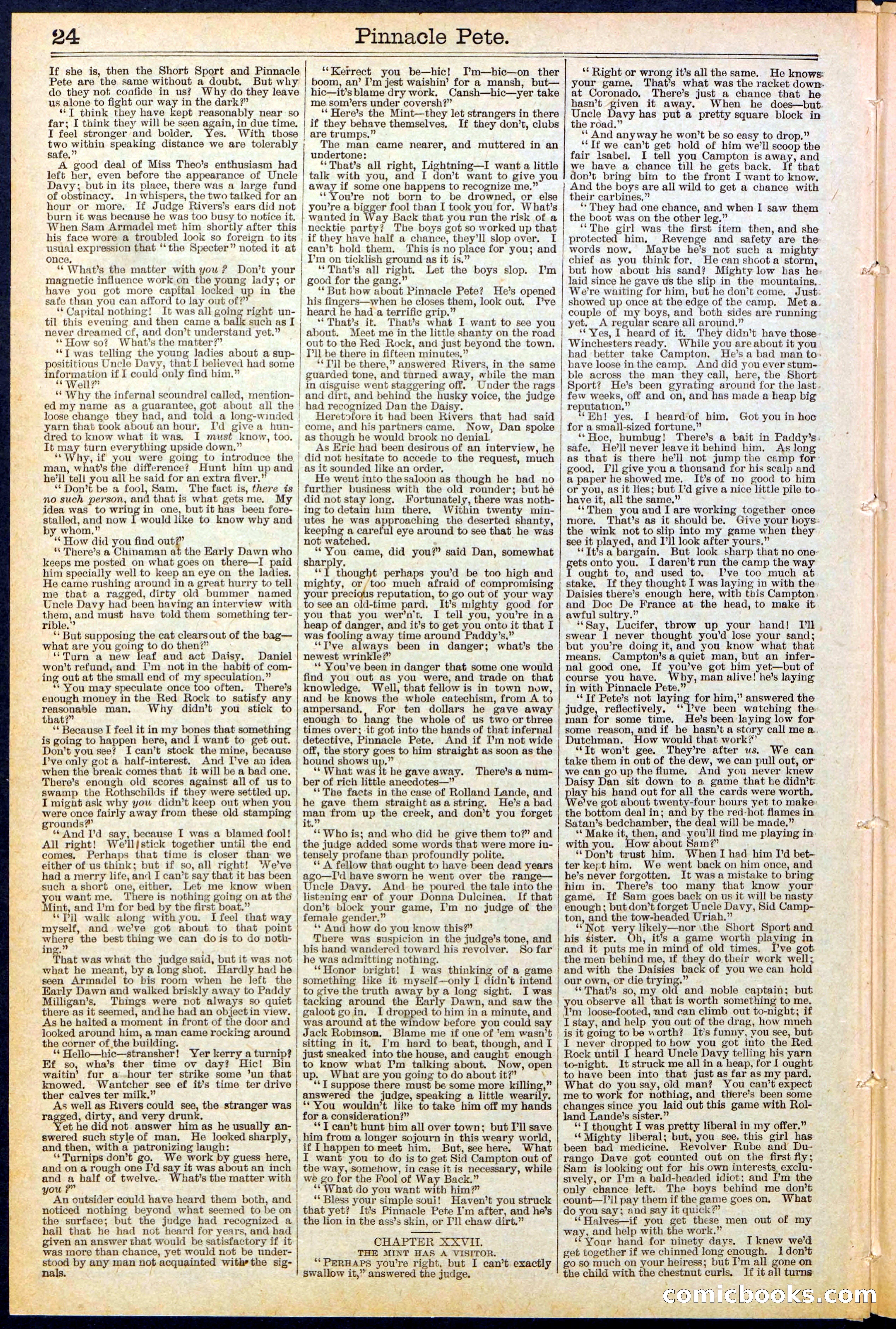 Beadle's New York Dime Library, No. 478 — page 24 of 32