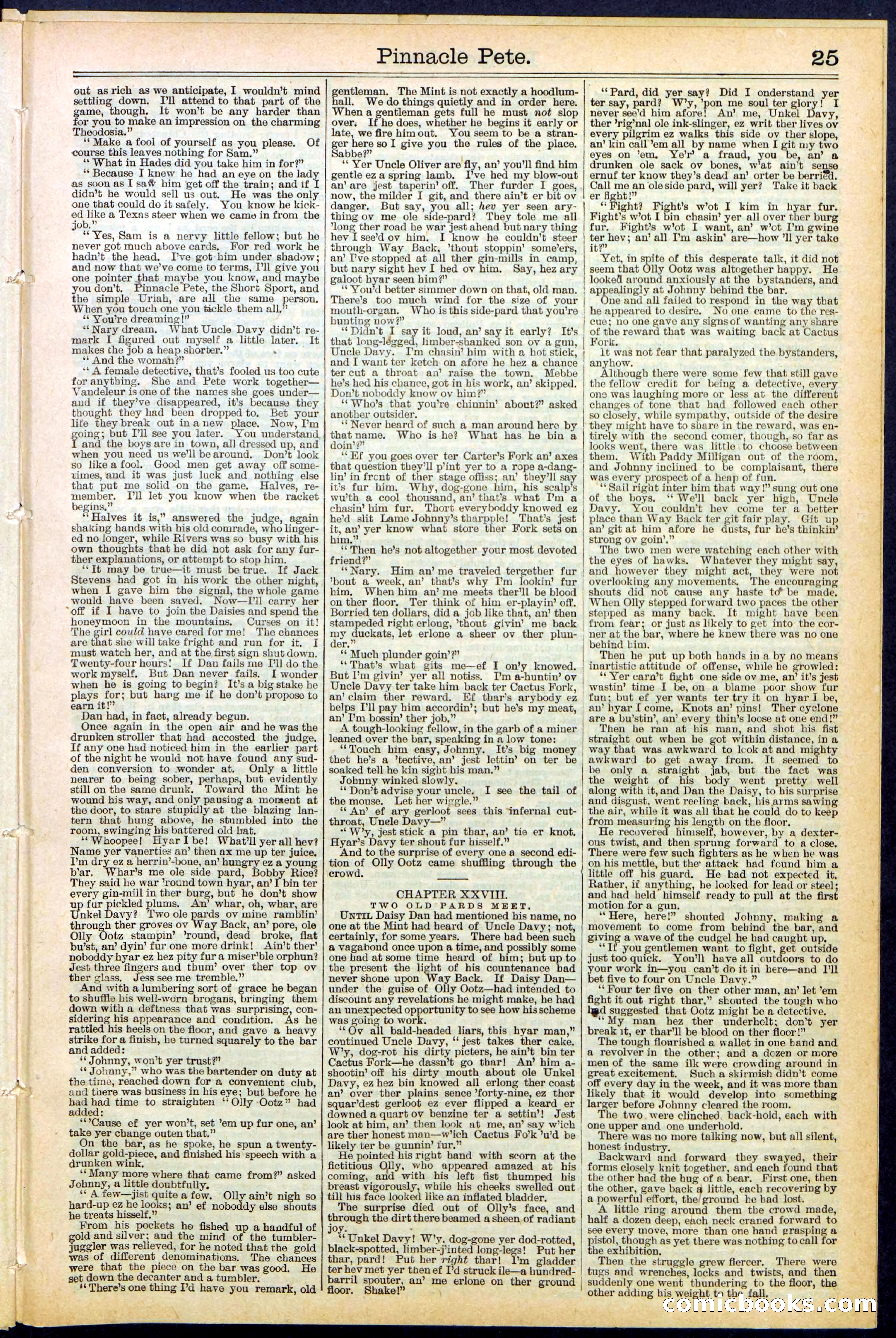 Beadle's New York Dime Library, No. 478 — page 25 of 32