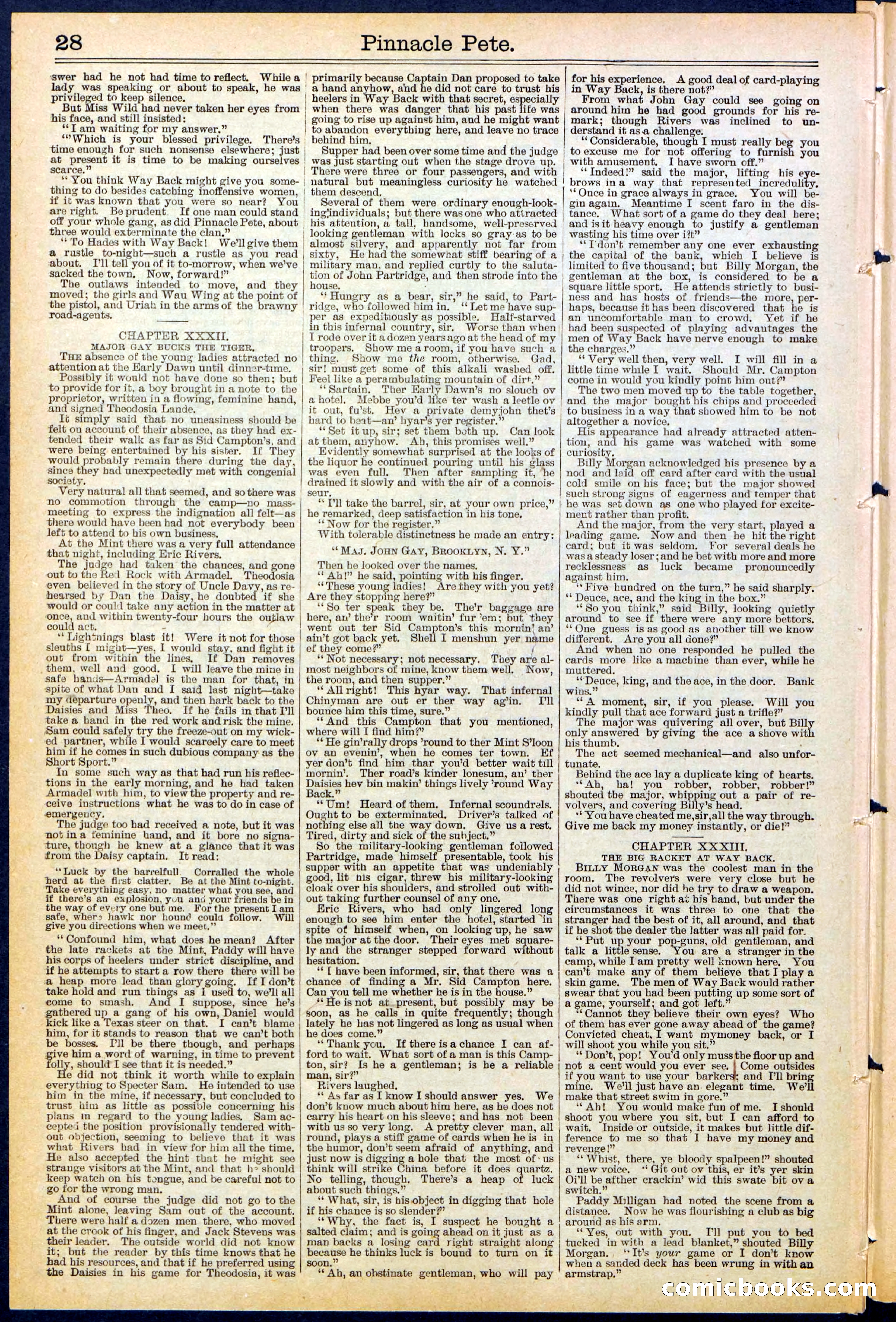 Beadle's New York Dime Library, No. 478 — page 28 of 32