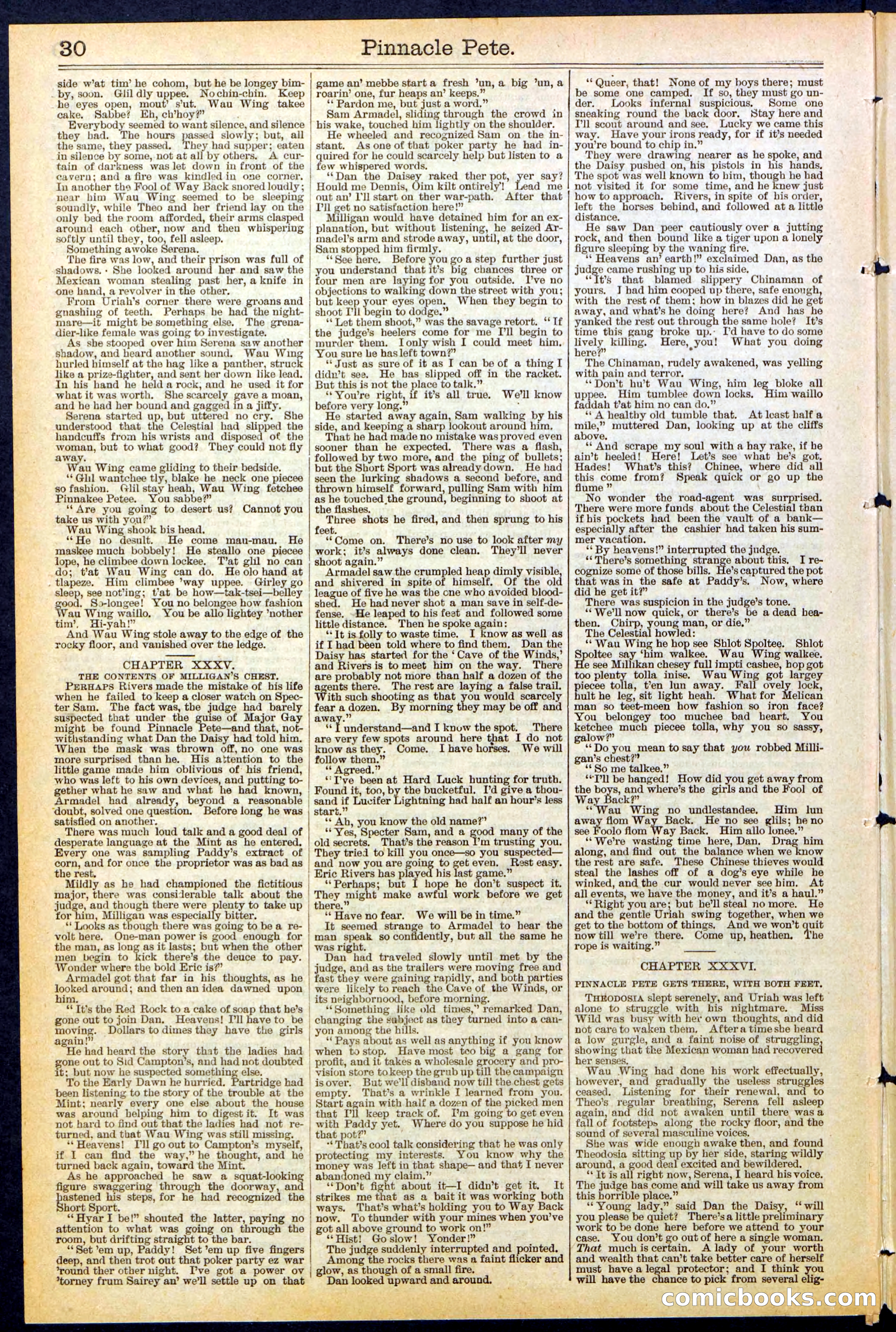 Beadle's New York Dime Library, No. 478 — page 30 of 32