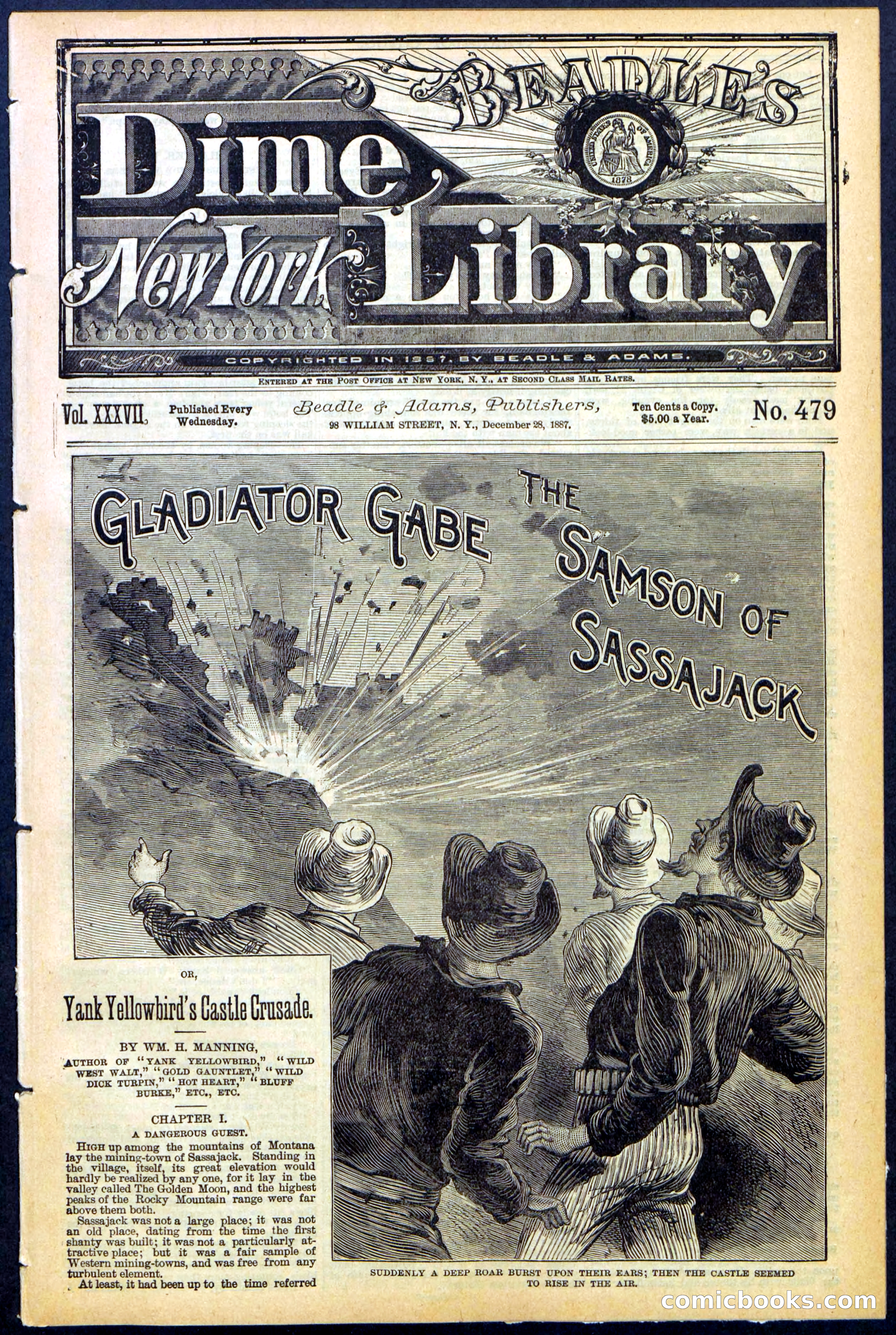 Beadle's New York Dime Library No. 479 — page 1 of 32