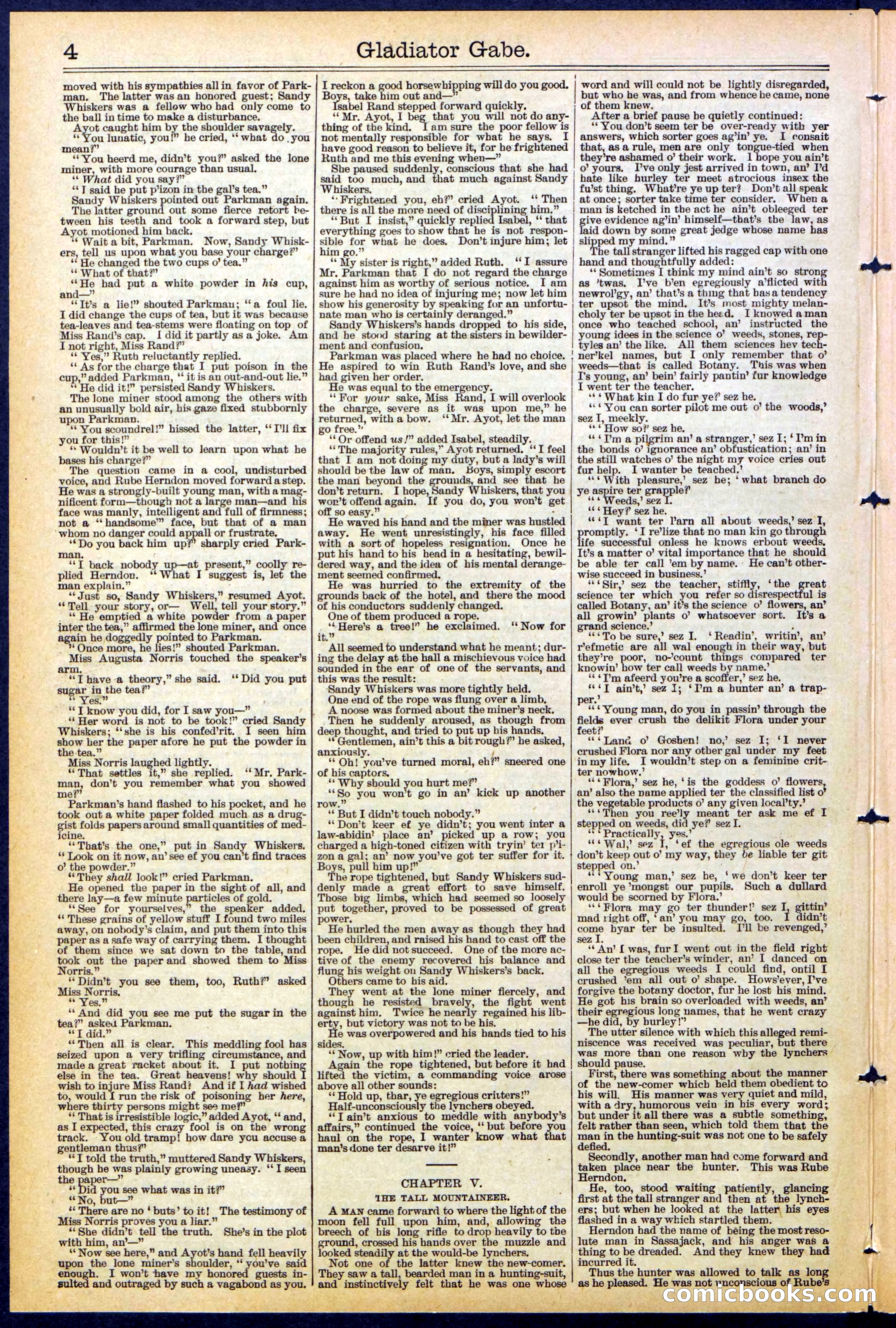 Beadle's New York Dime Library No. 479 — page 4 of 32