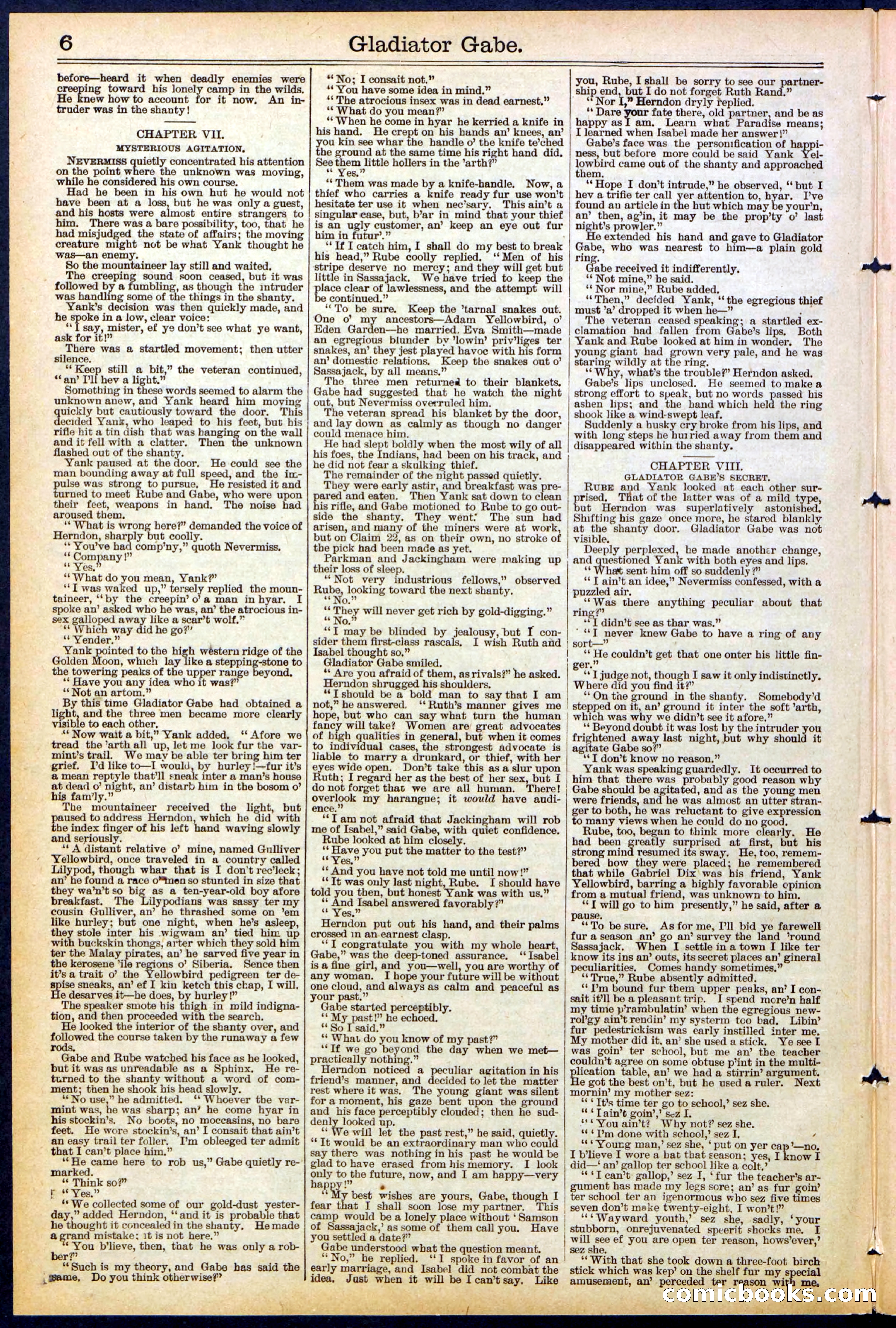 Beadle's New York Dime Library No. 479 — page 6 of 32