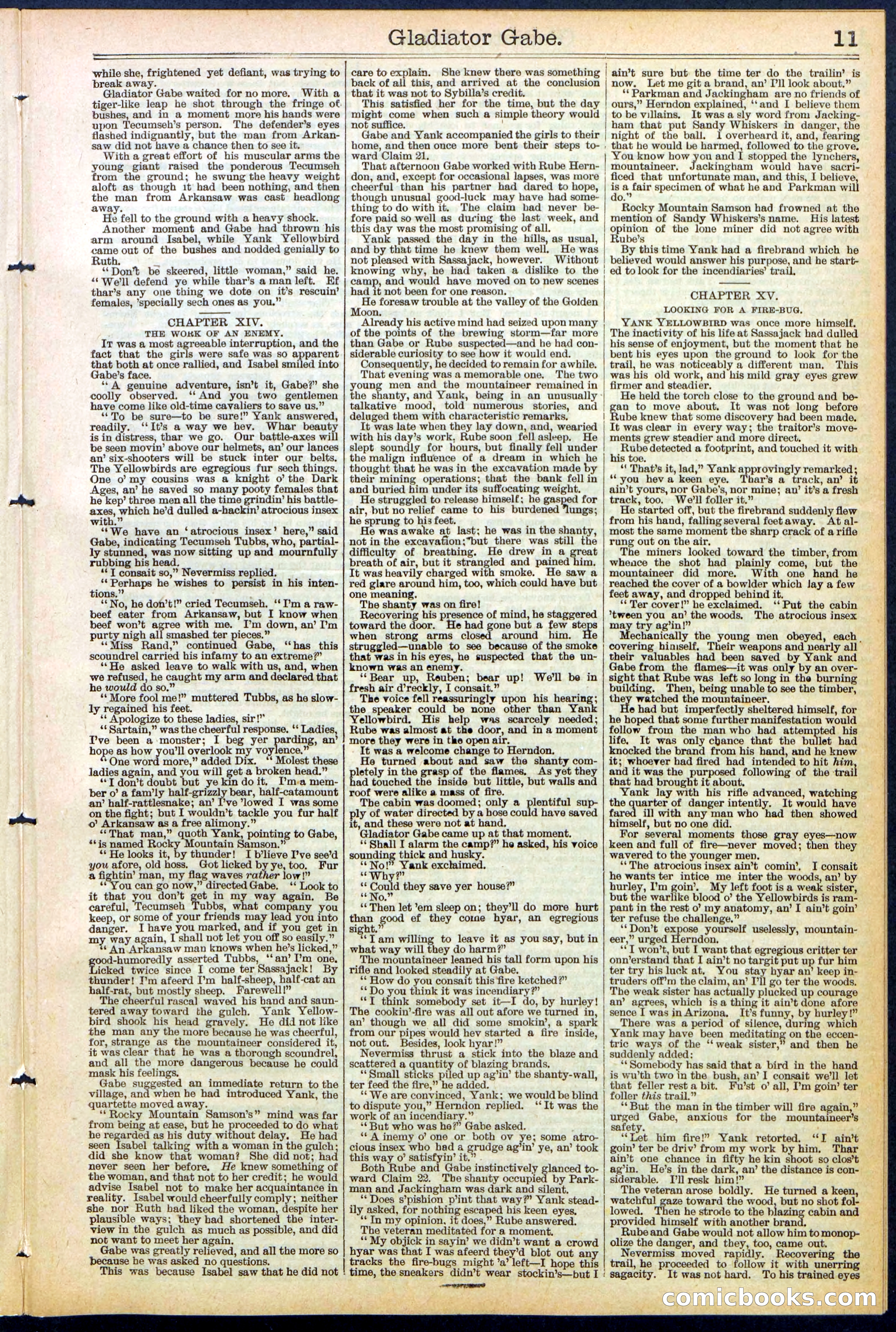 Beadle's New York Dime Library No. 479 — page 11 of 32
