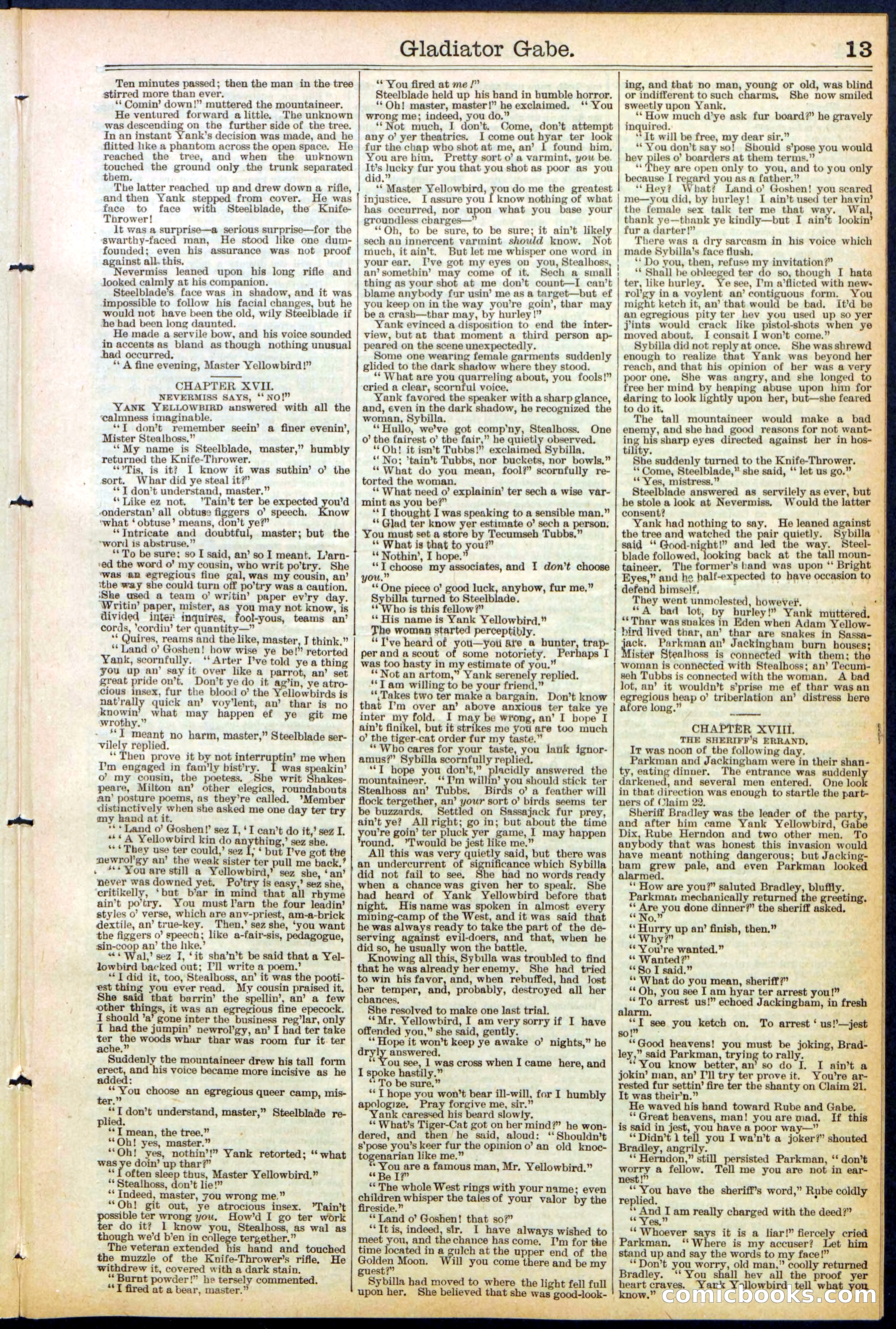 Beadle's New York Dime Library No. 479 — page 13 of 32