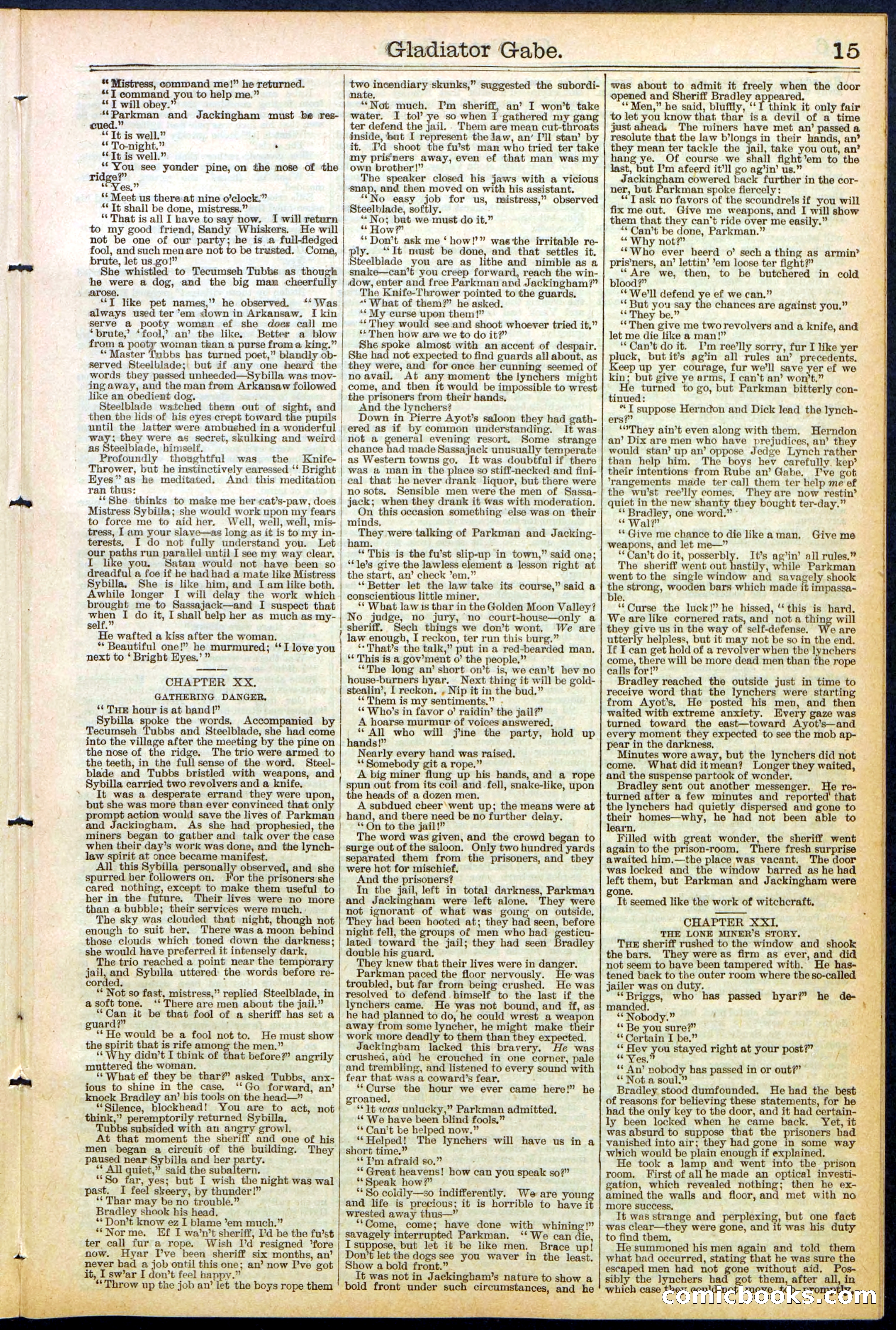Beadle's New York Dime Library No. 479 — page 15 of 32