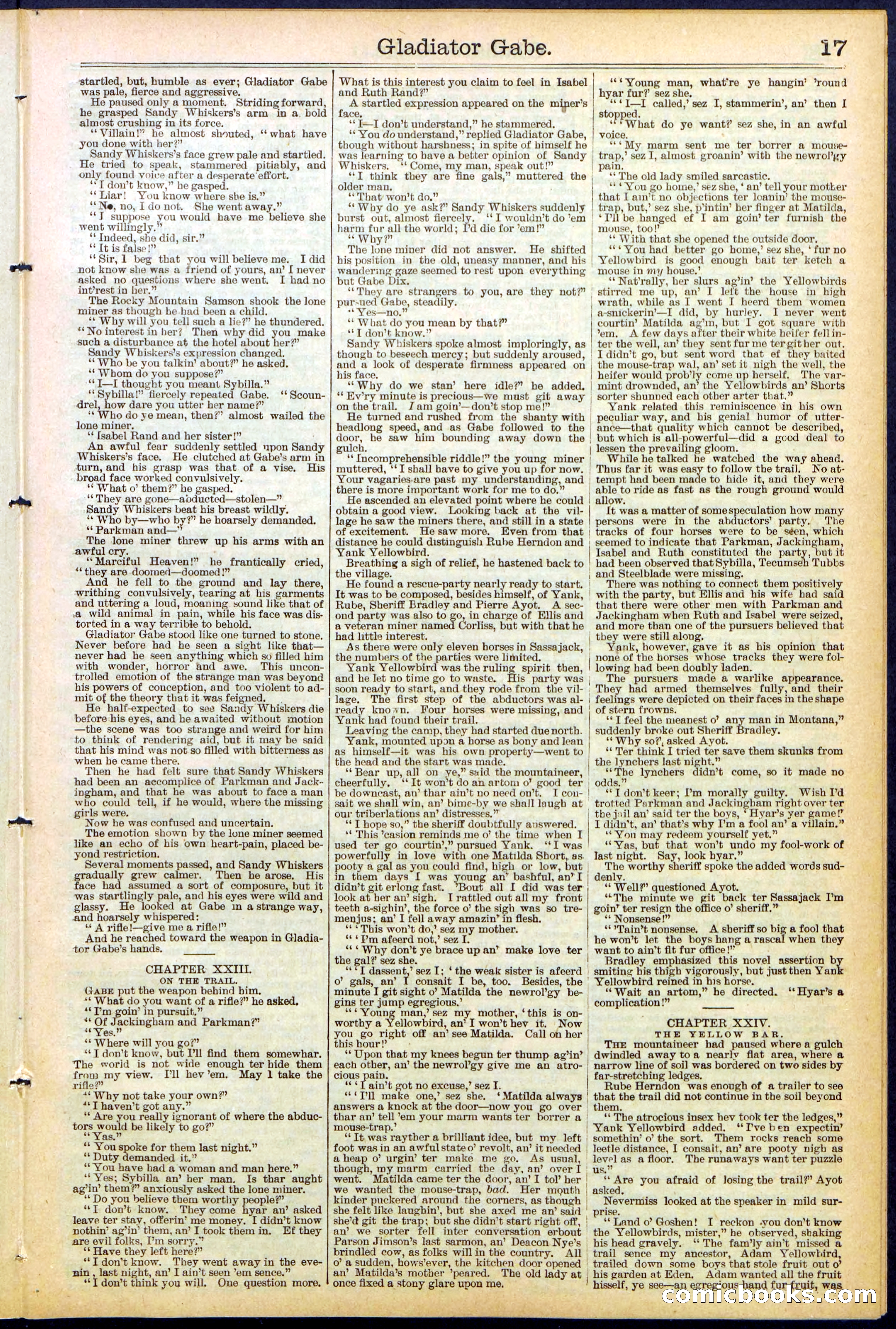 Beadle's New York Dime Library No. 479 — page 17 of 32