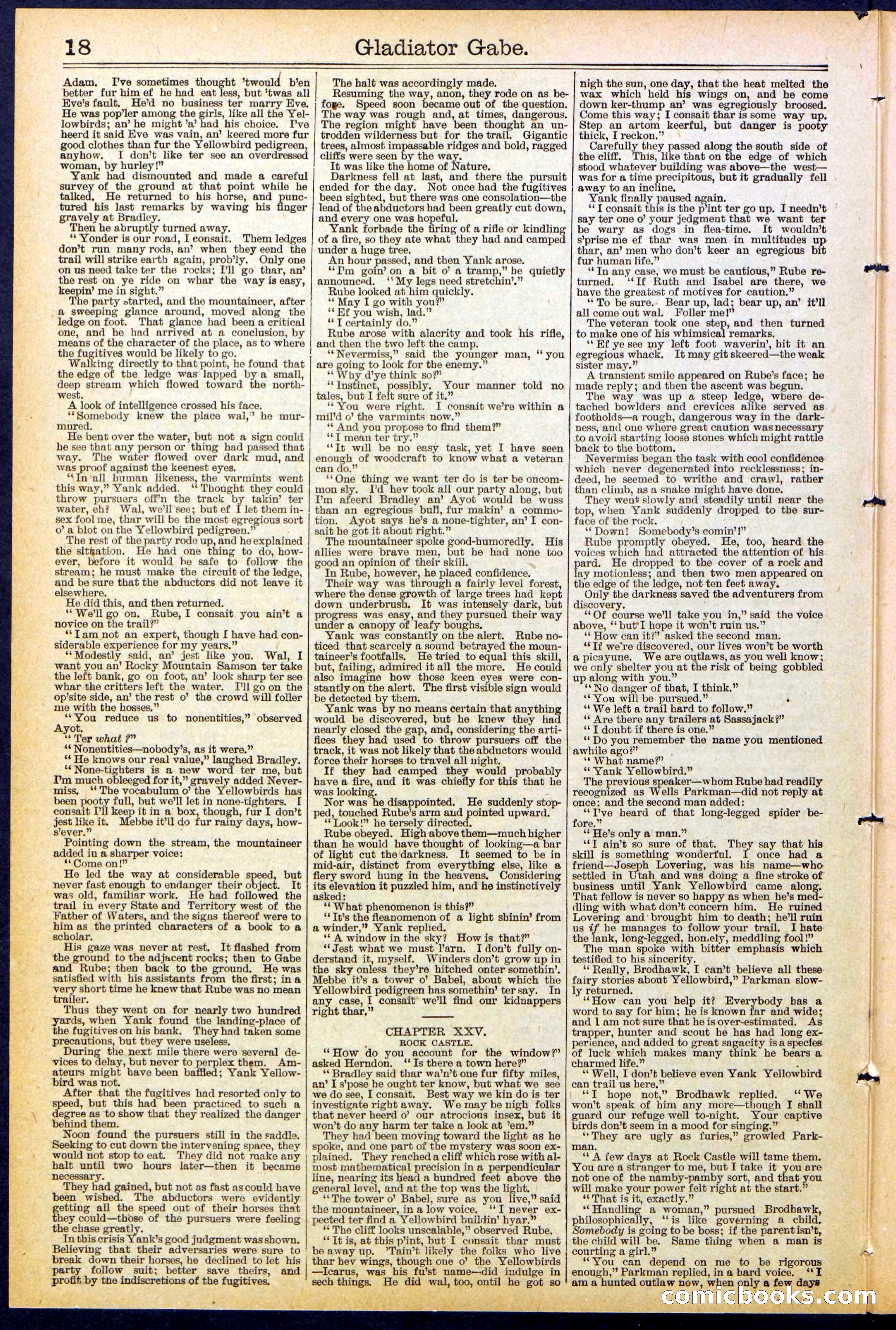 Beadle's New York Dime Library No. 479 — page 18 of 32