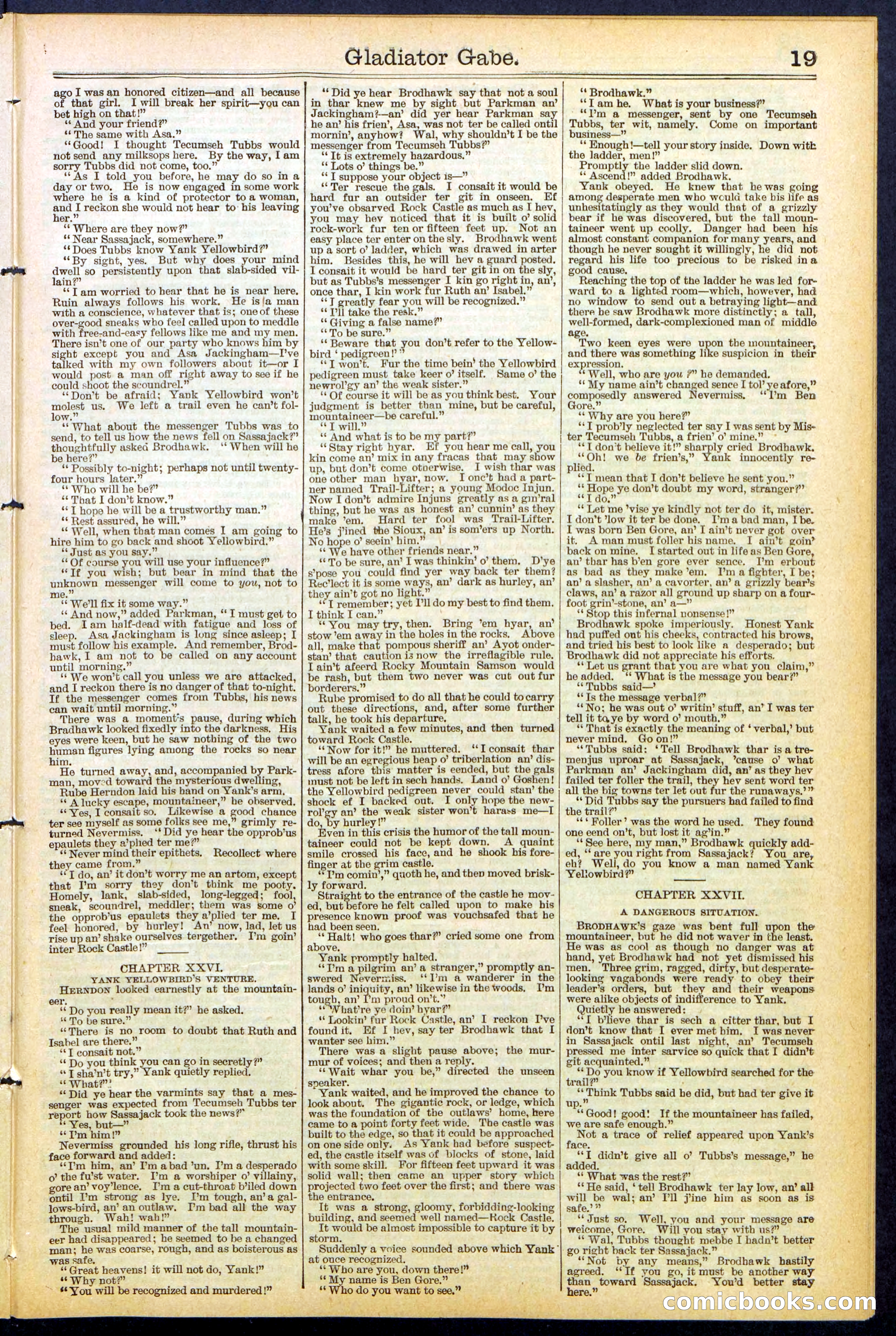 Beadle's New York Dime Library No. 479 — page 19 of 32