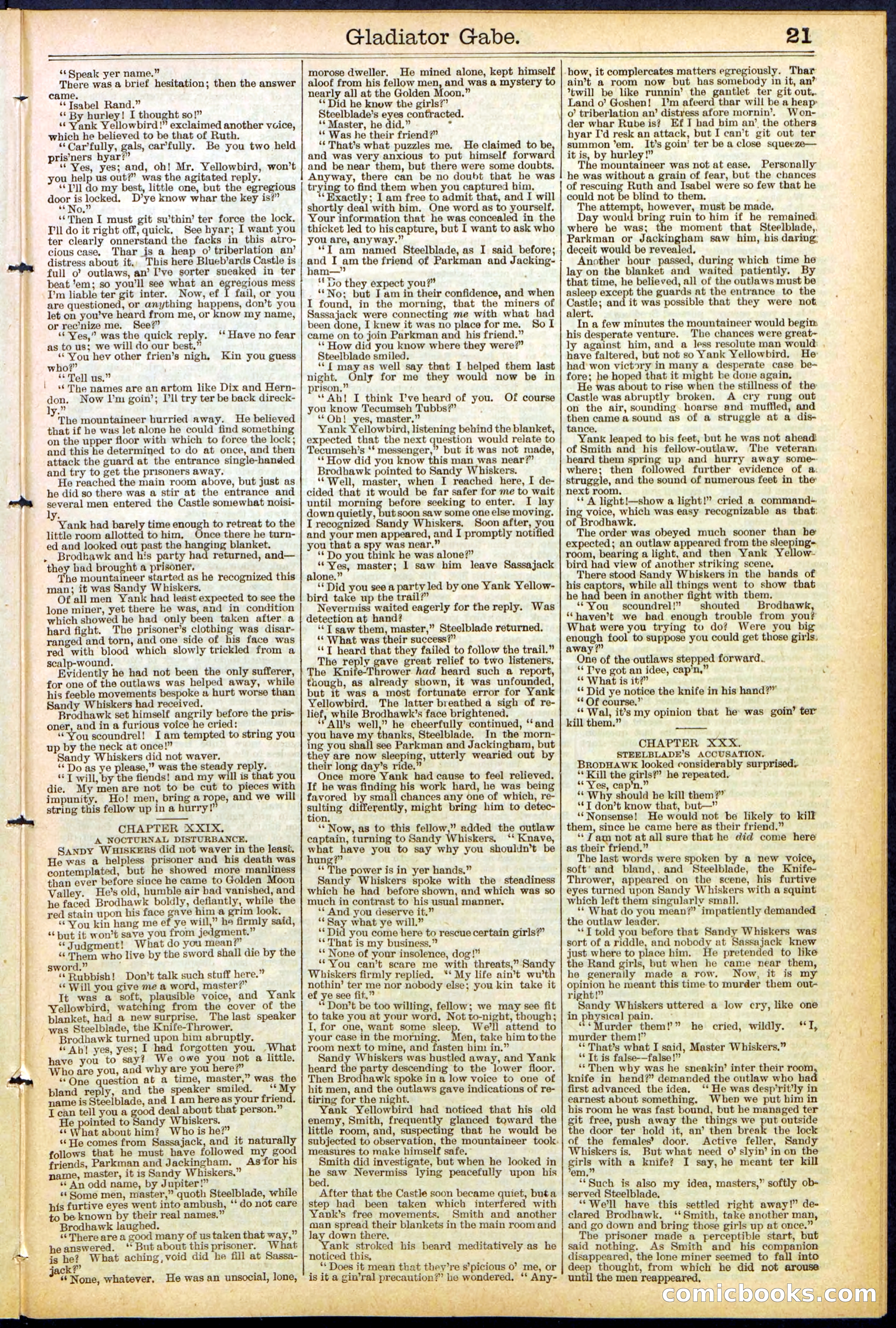 Beadle's New York Dime Library No. 479 — page 21 of 32