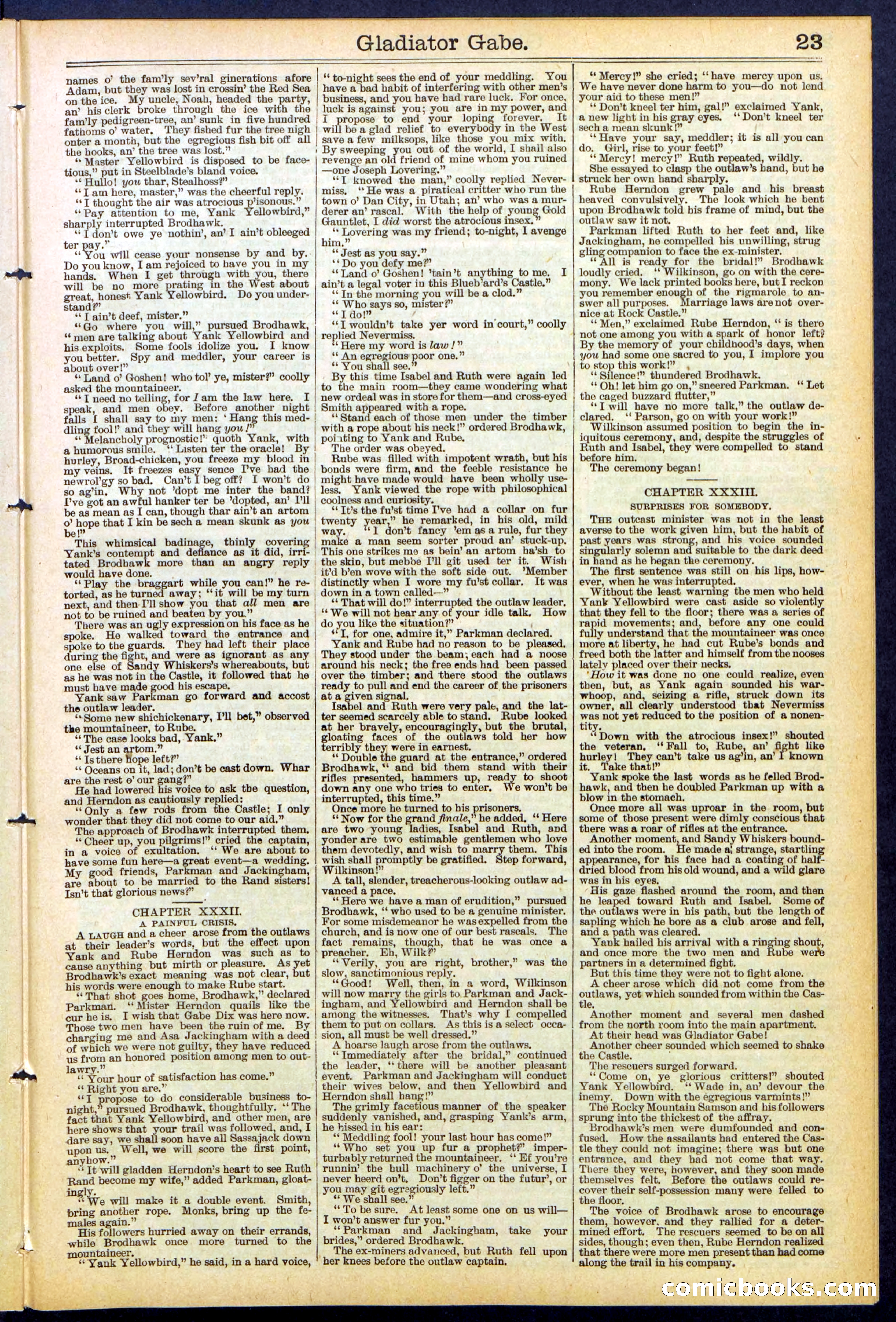 Beadle's New York Dime Library No. 479 — page 23 of 32