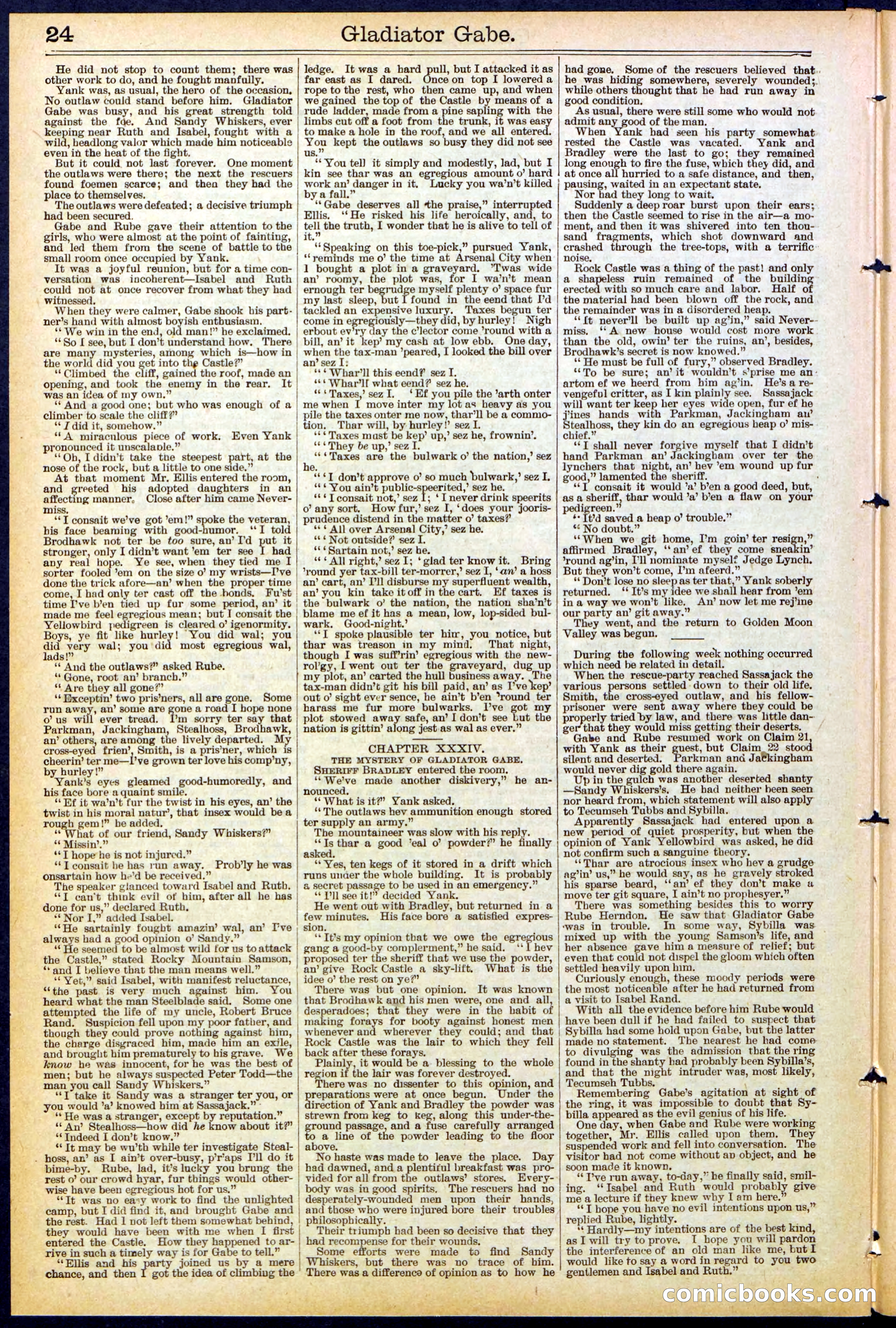 Beadle's New York Dime Library No. 479 — page 24 of 32