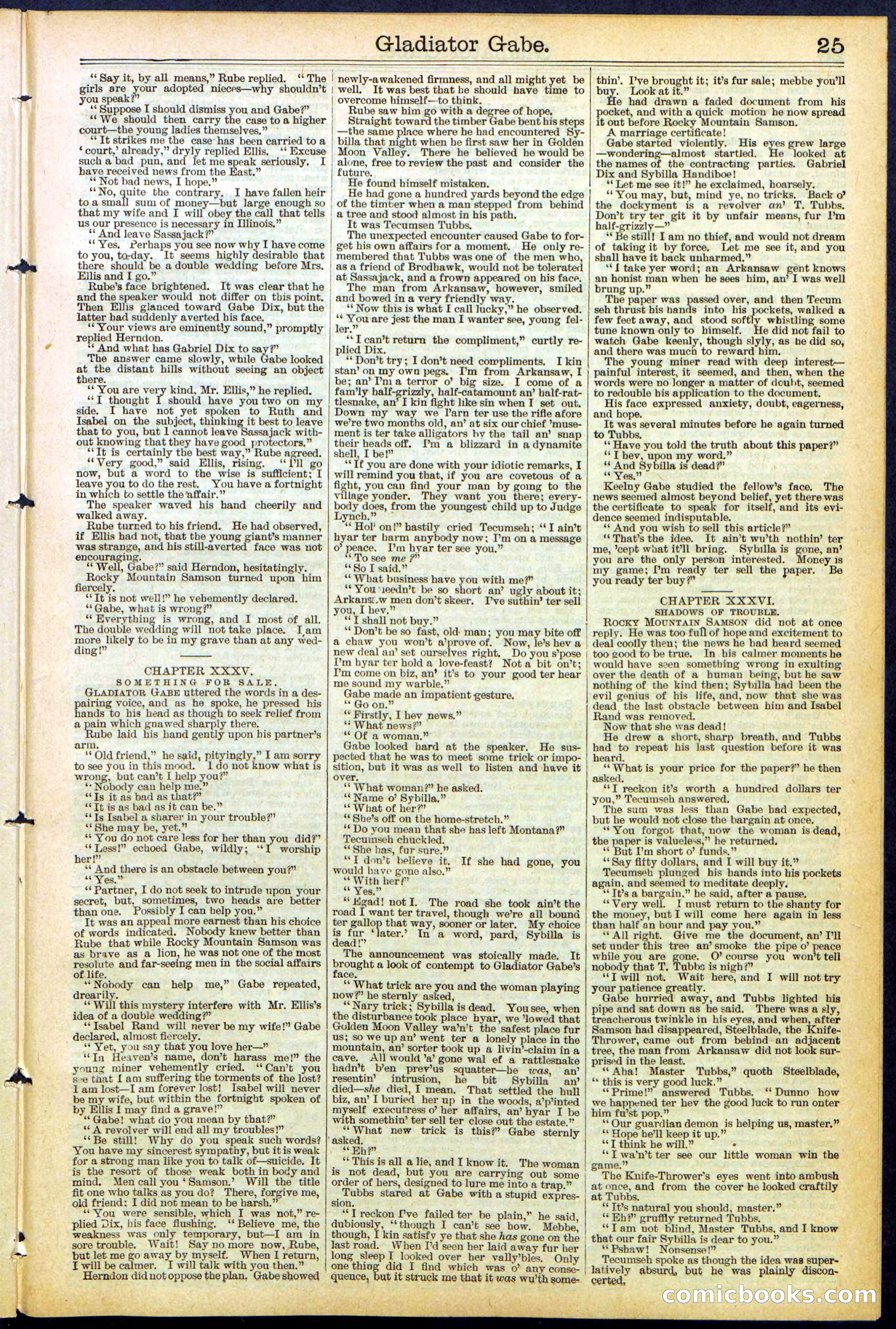 Beadle's New York Dime Library No. 479 — page 25 of 32