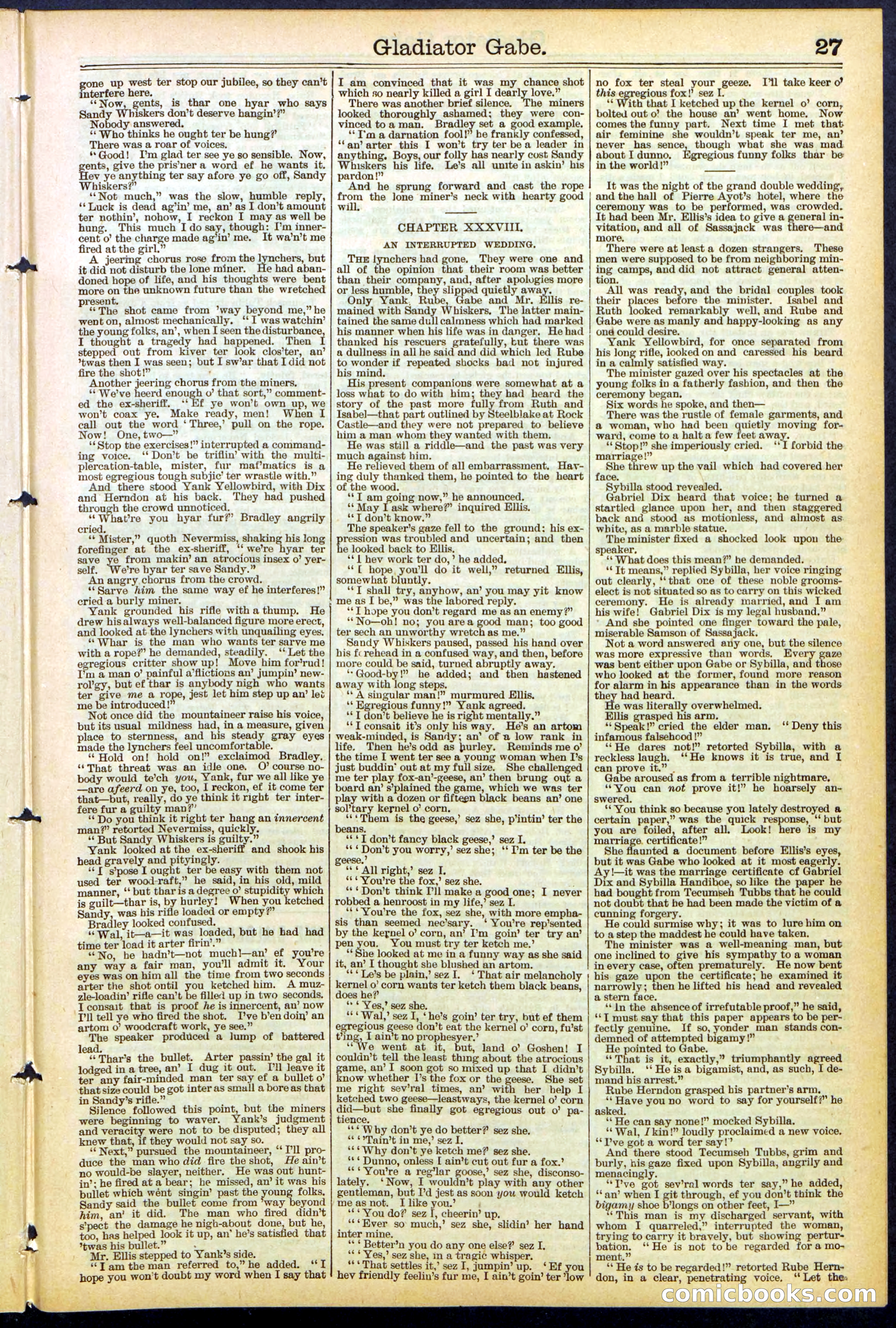 Beadle's New York Dime Library No. 479 — page 27 of 32