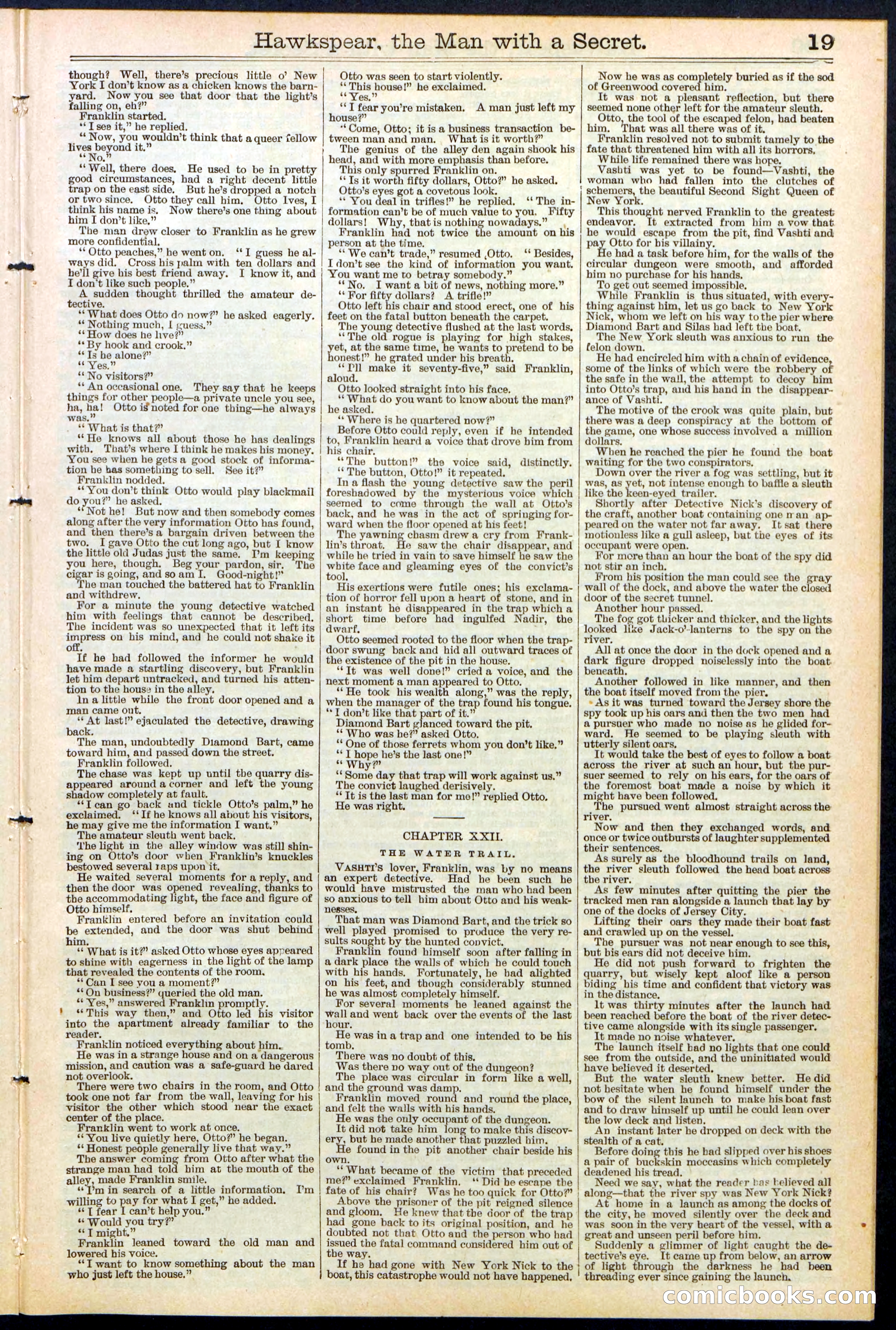 Beadle's New York Dime Library No. 480 — page 19 of 32