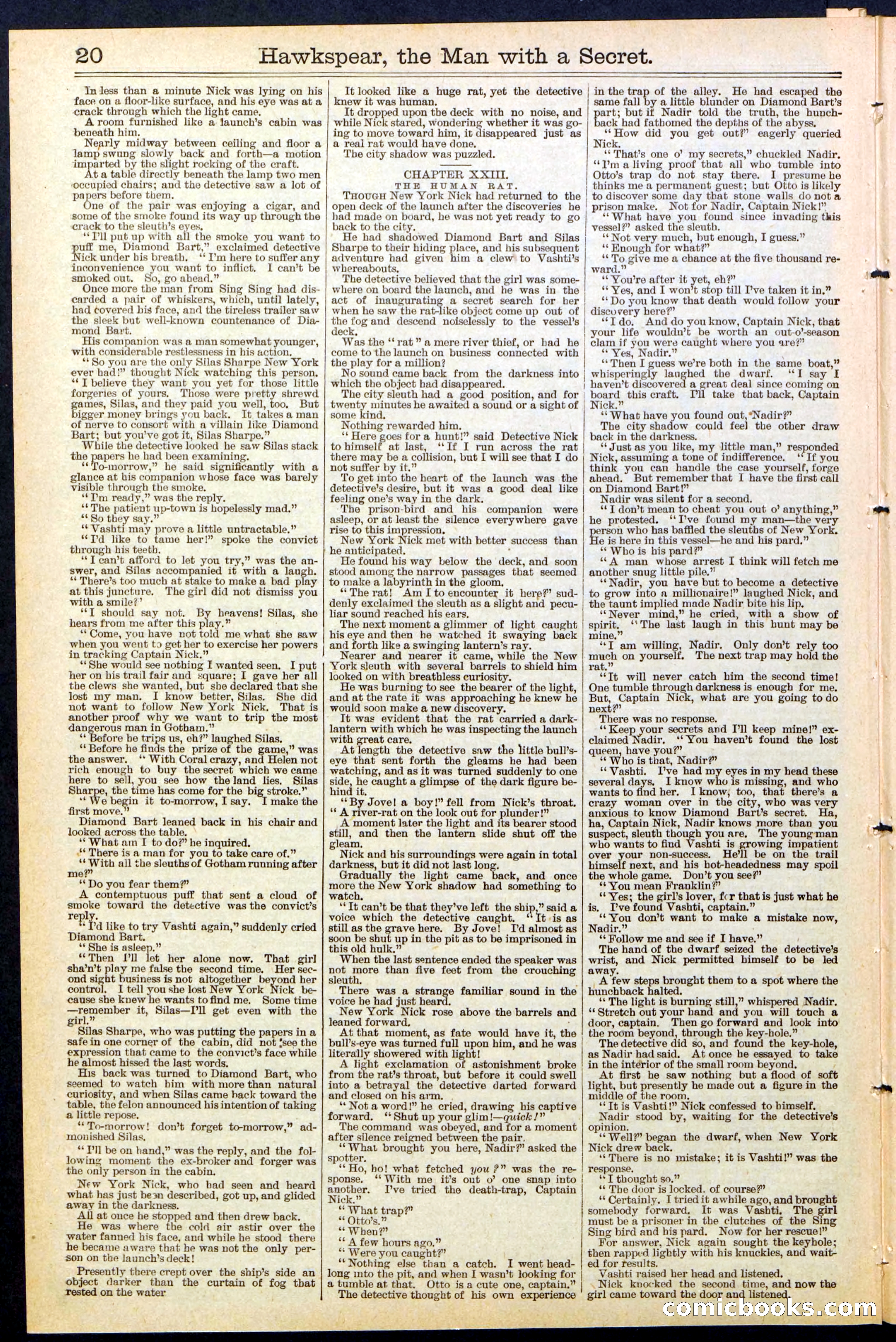 Beadle's New York Dime Library No. 480 — page 20 of 32