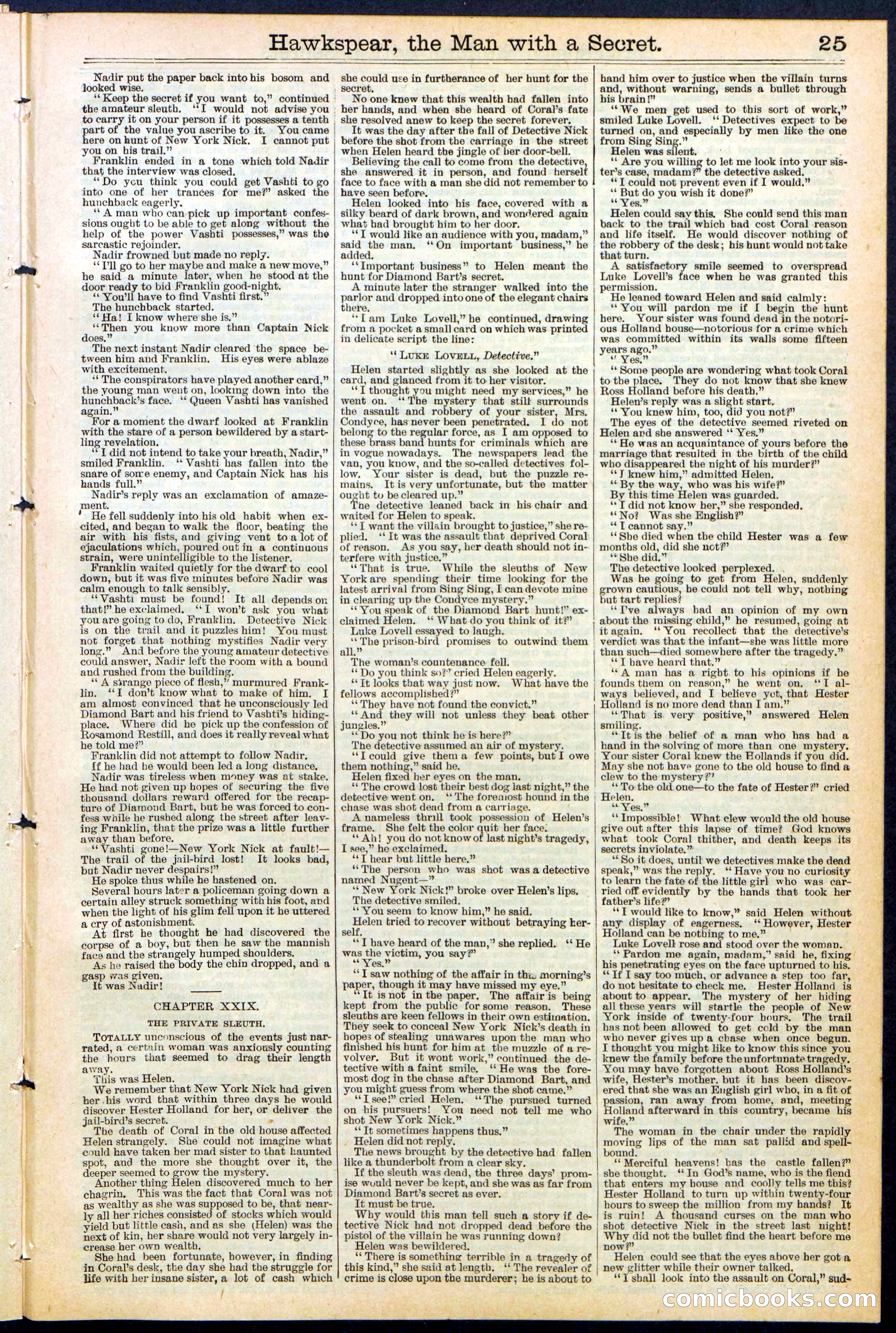 Beadle's New York Dime Library No. 480 — page 25 of 32