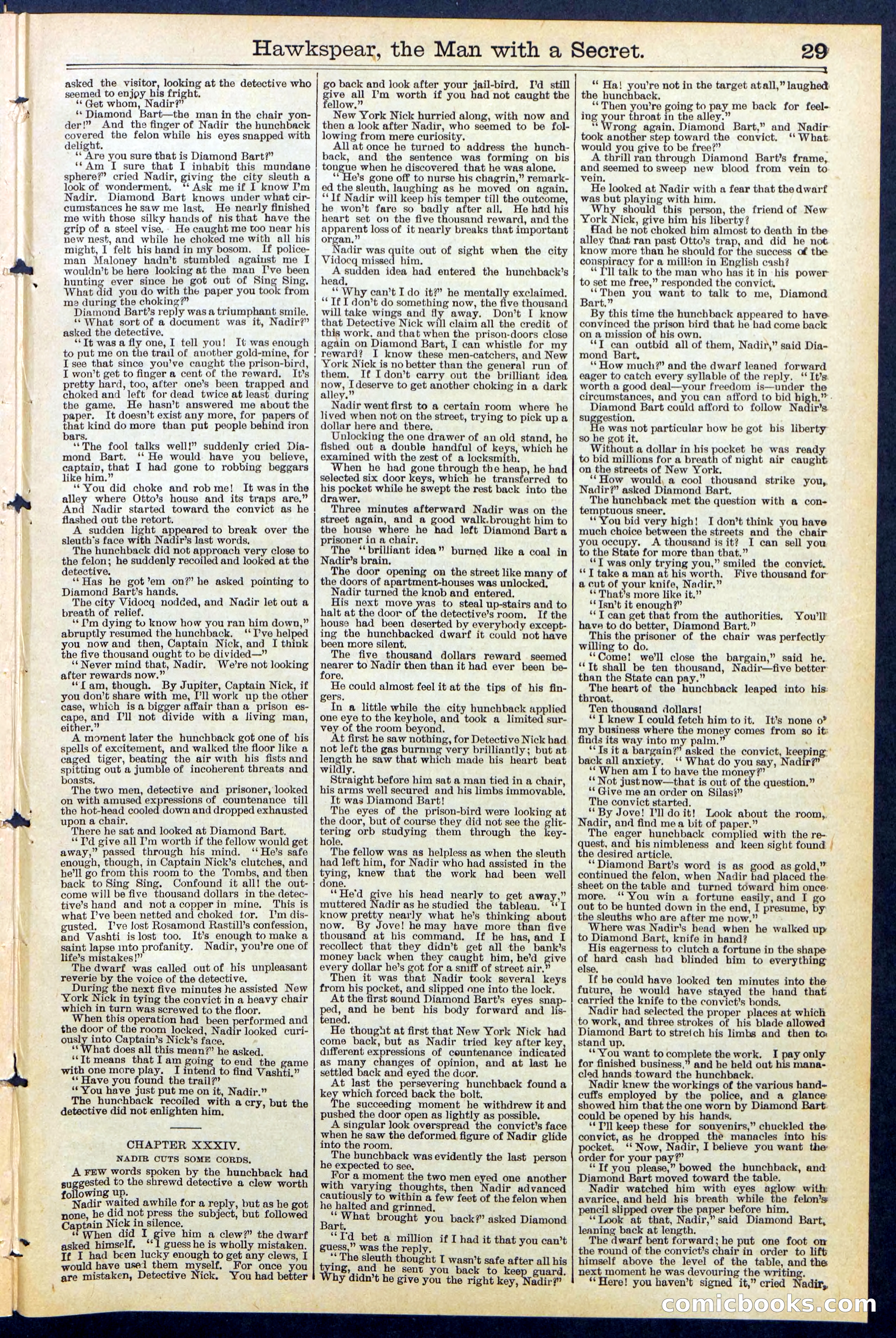 Beadle's New York Dime Library No. 480 — page 29 of 32