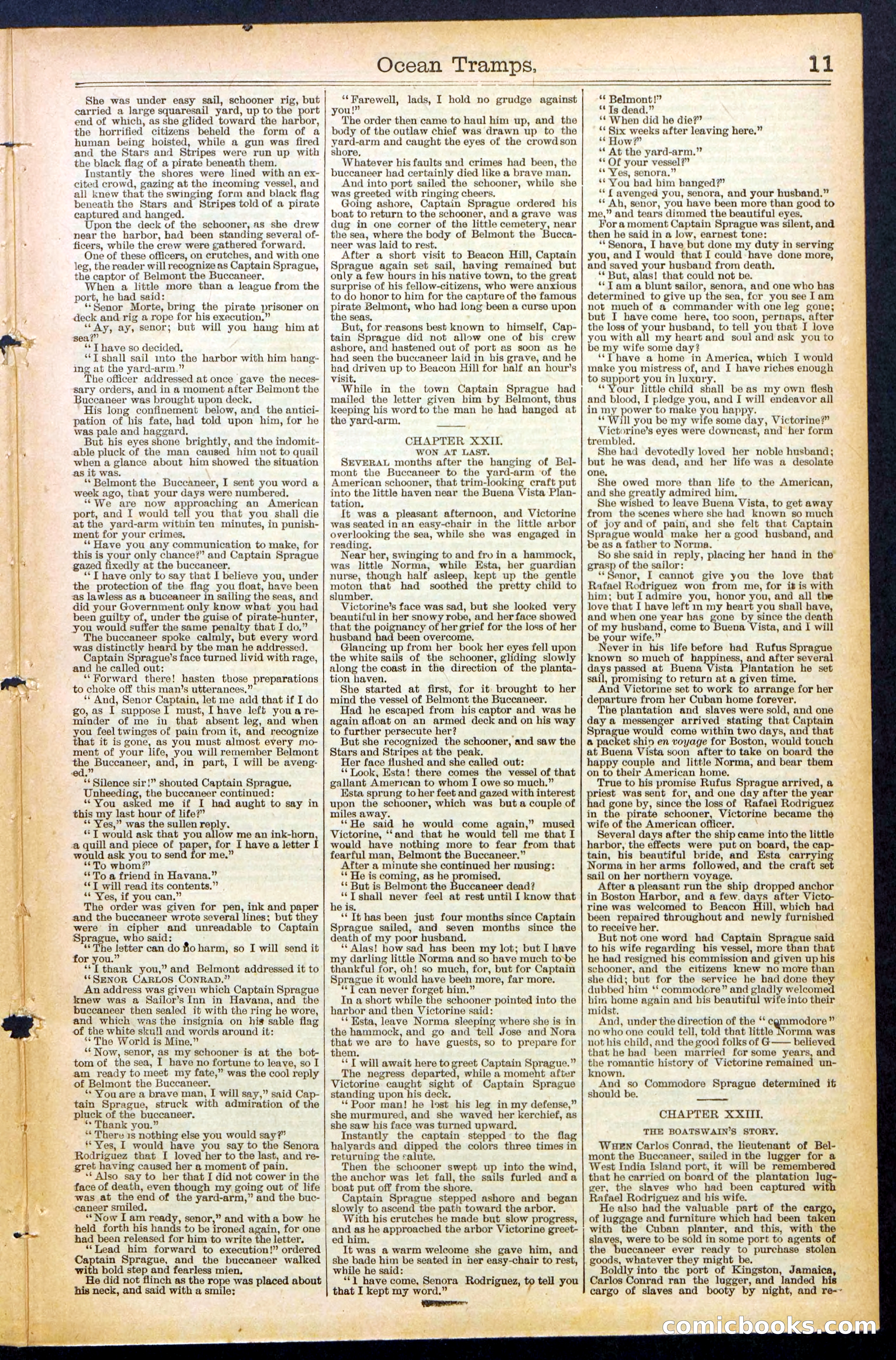 Beadle's New York Dime Library No. 482 — page 11 of 32
