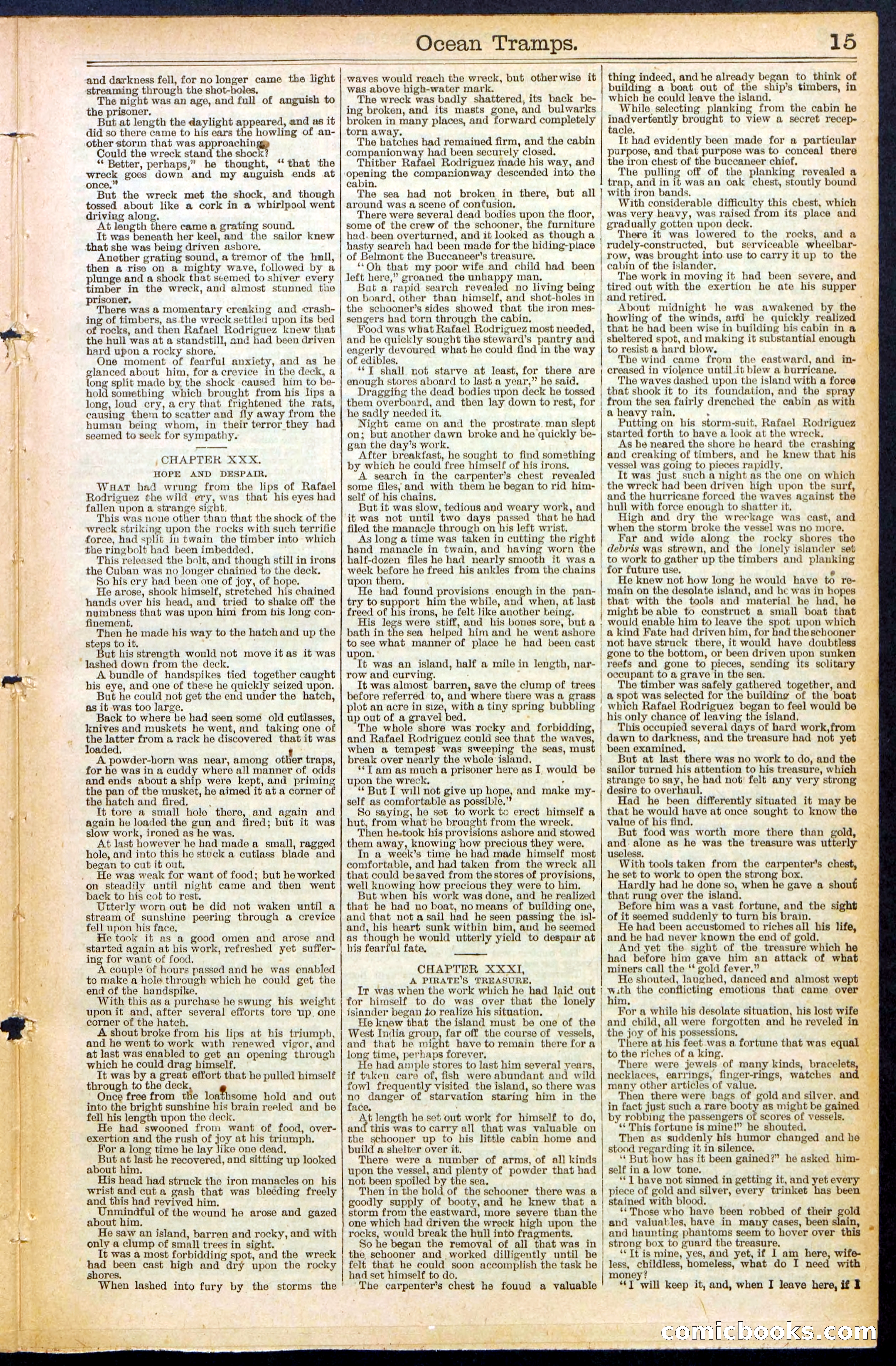 Beadle's New York Dime Library No. 482 — page 15 of 32