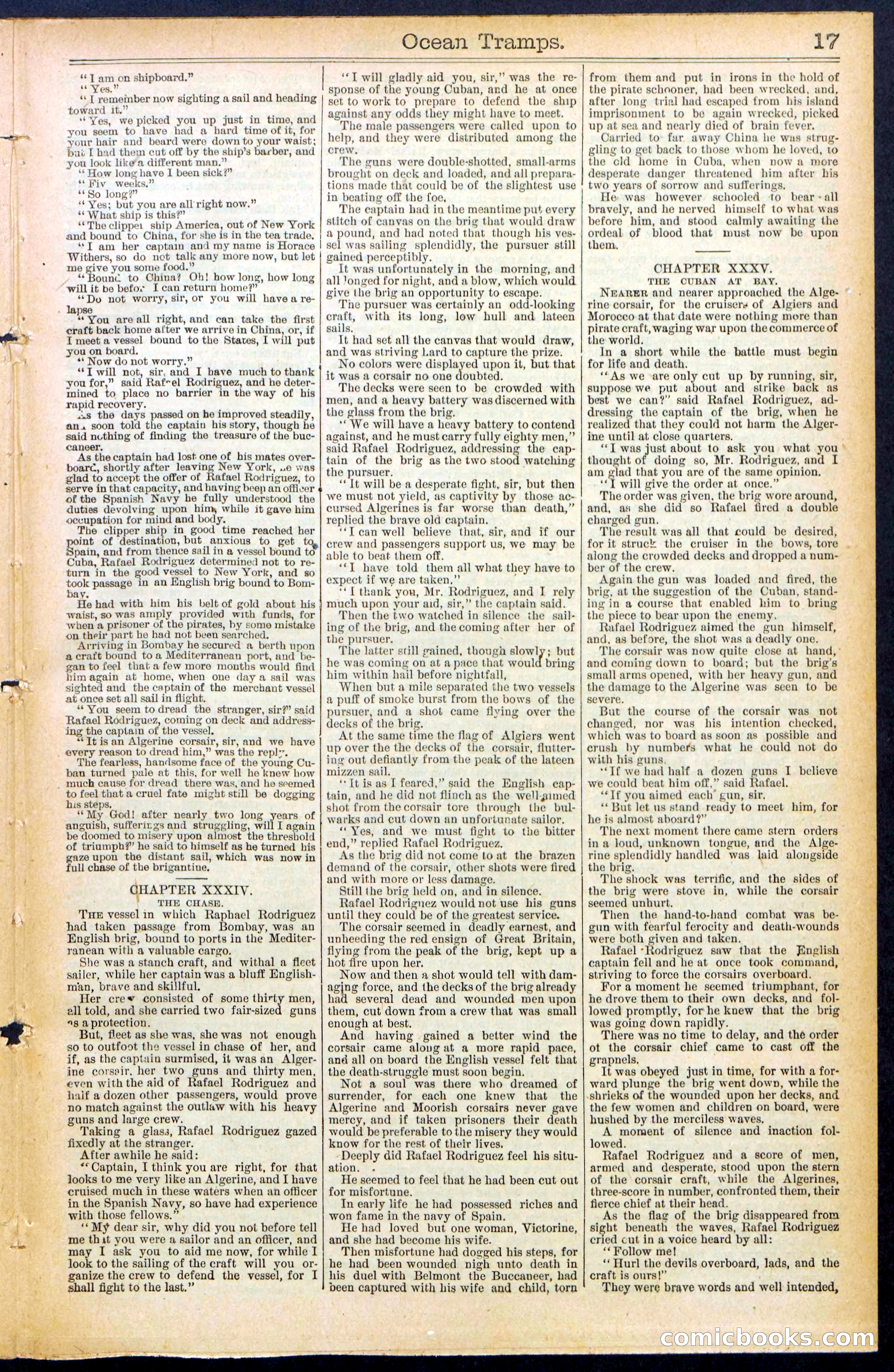 Beadle's New York Dime Library No. 482 — page 17 of 32