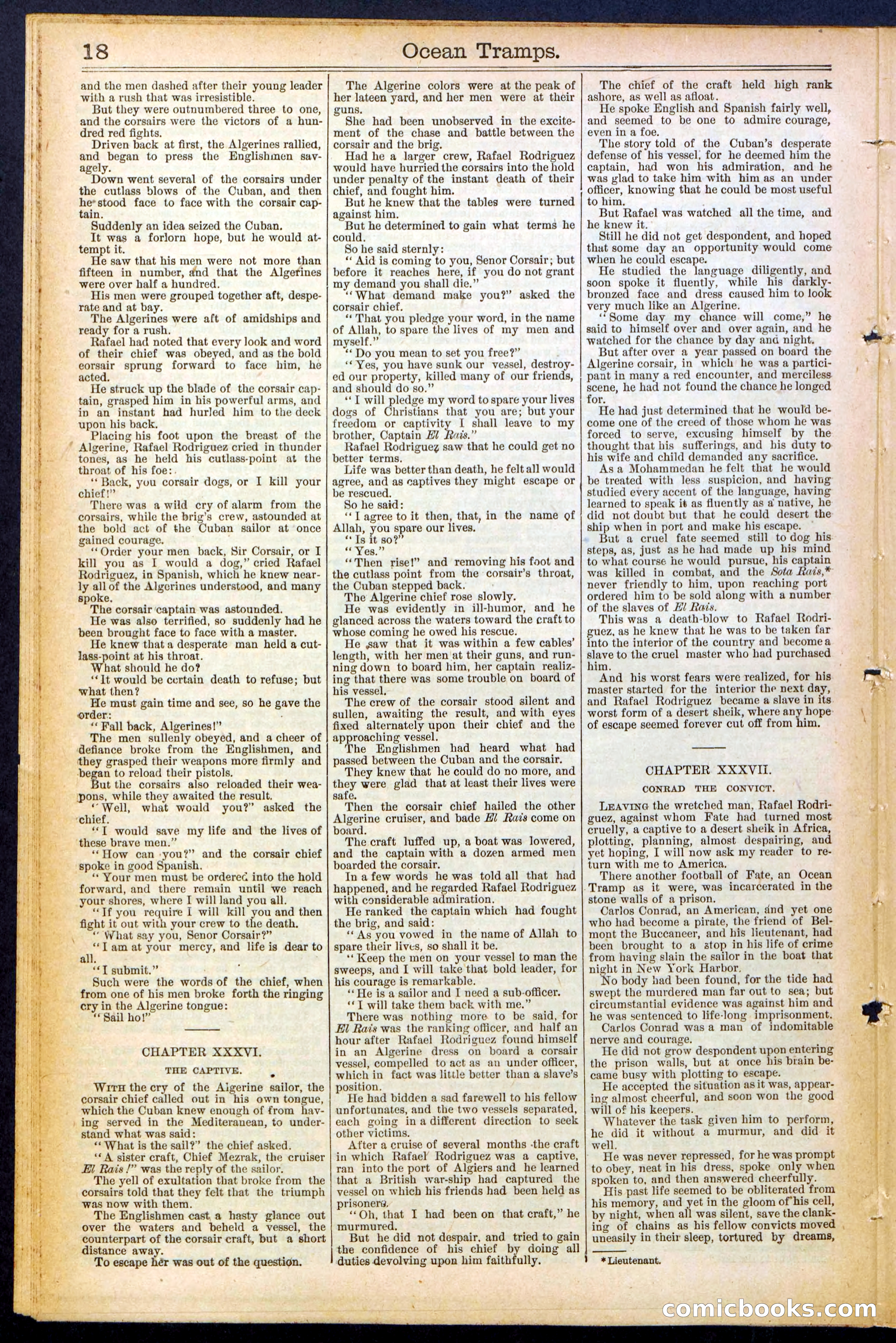 Beadle's New York Dime Library No. 482 — page 18 of 32