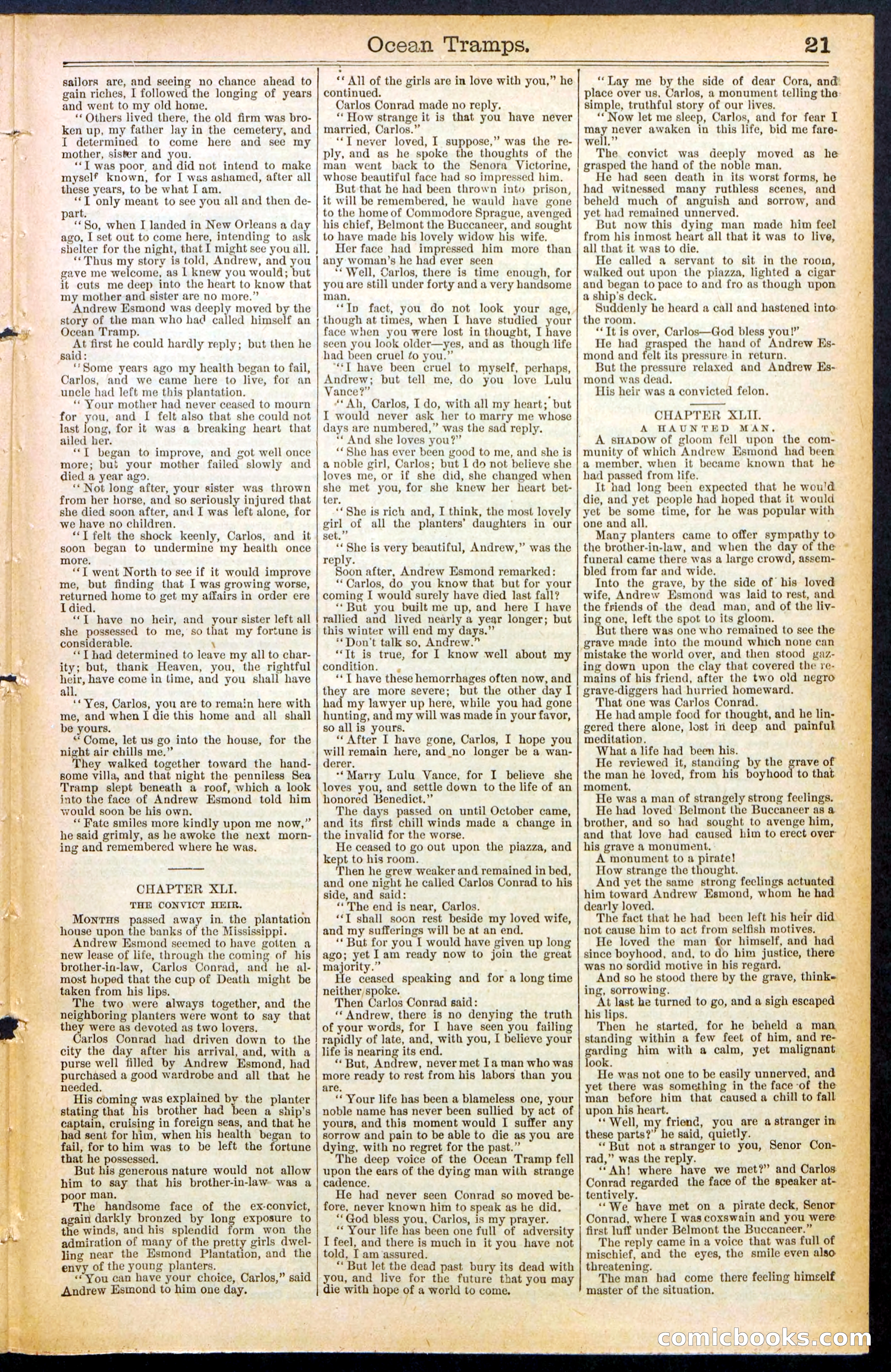 Beadle's New York Dime Library No. 482 — page 21 of 32