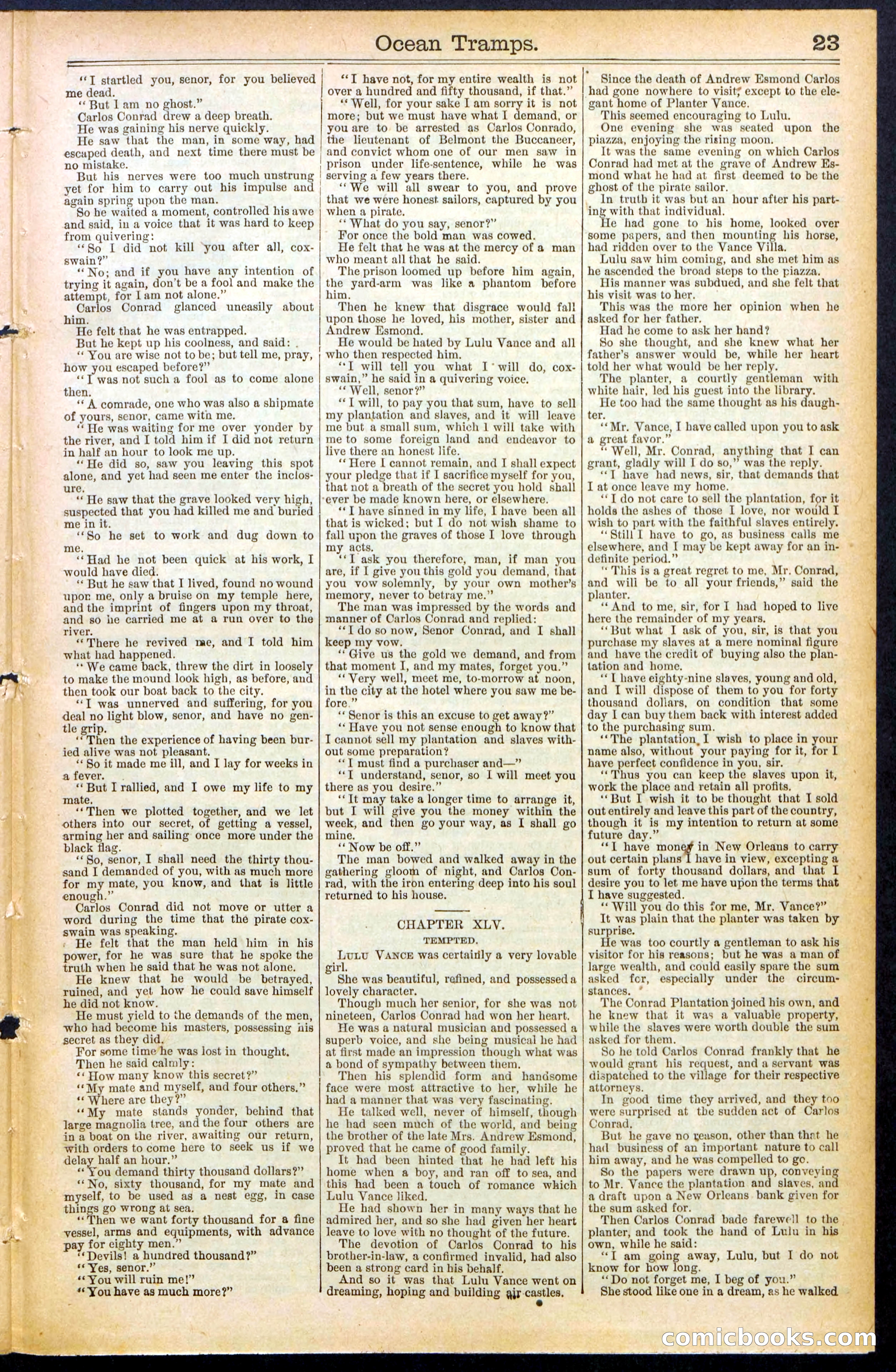 Beadle's New York Dime Library No. 482 — page 23 of 32