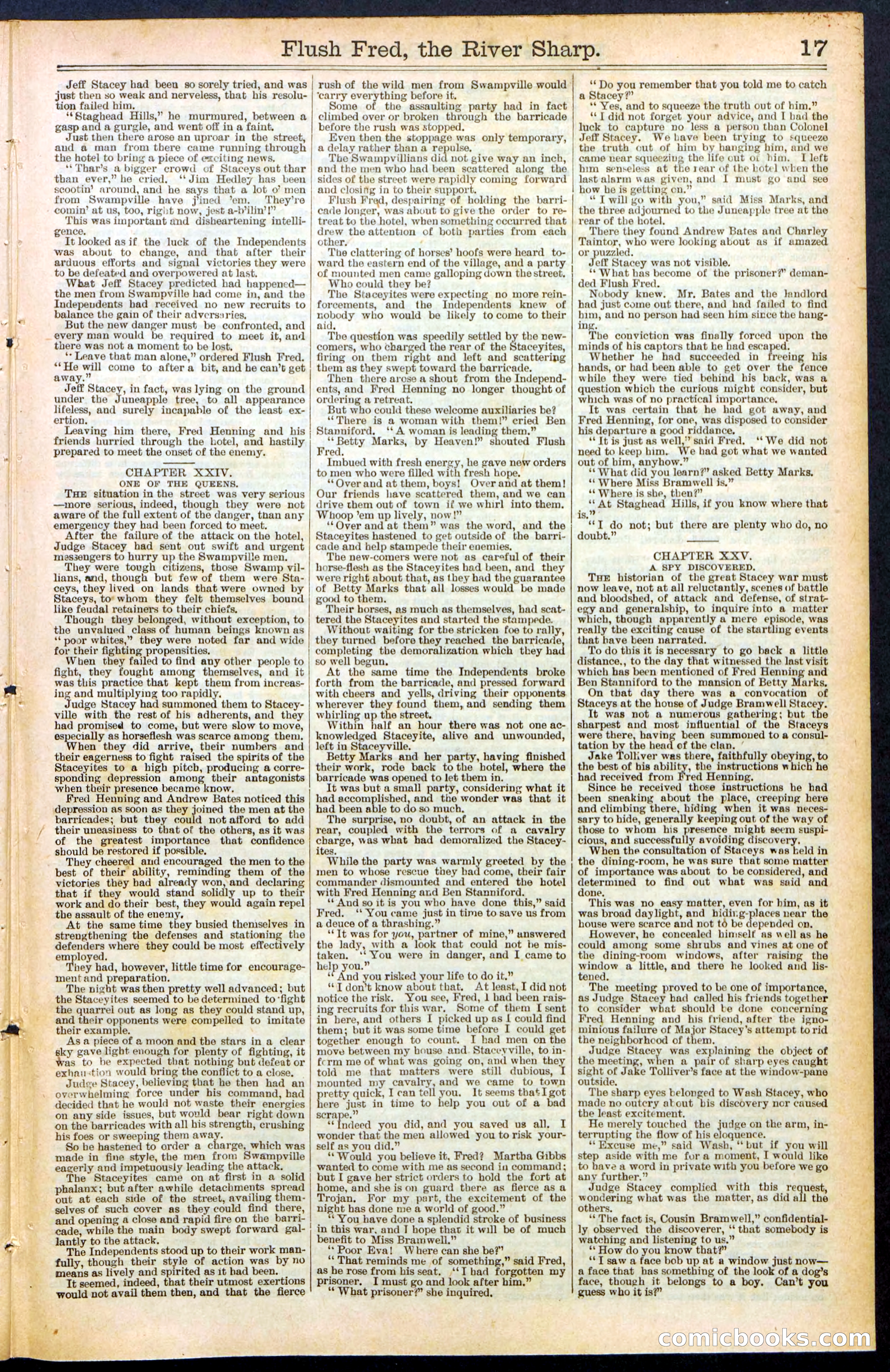 Beadle's New York Dime Library No. 483 — page 17 of 32
