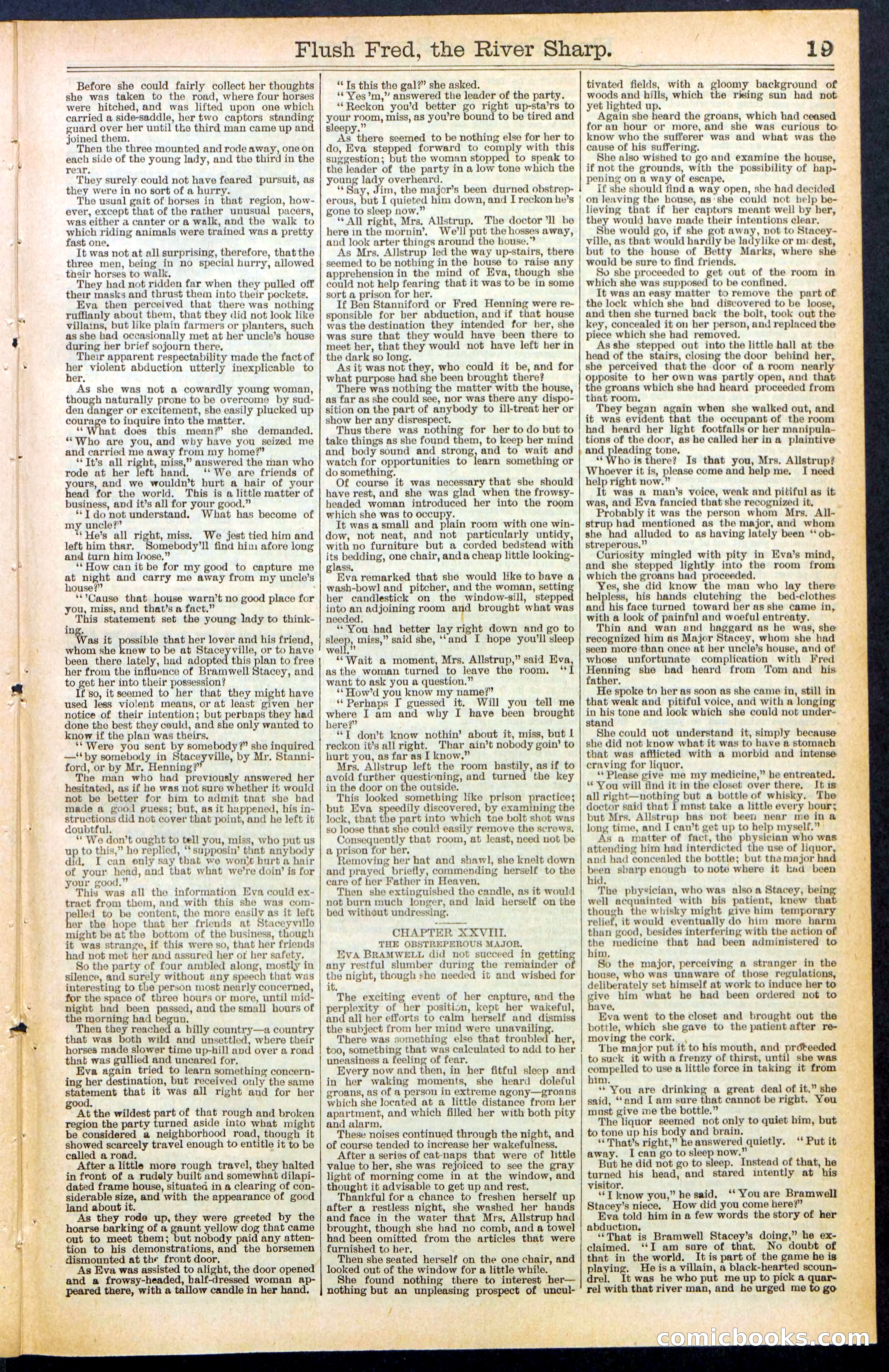 Beadle's New York Dime Library No. 483 — page 19 of 32