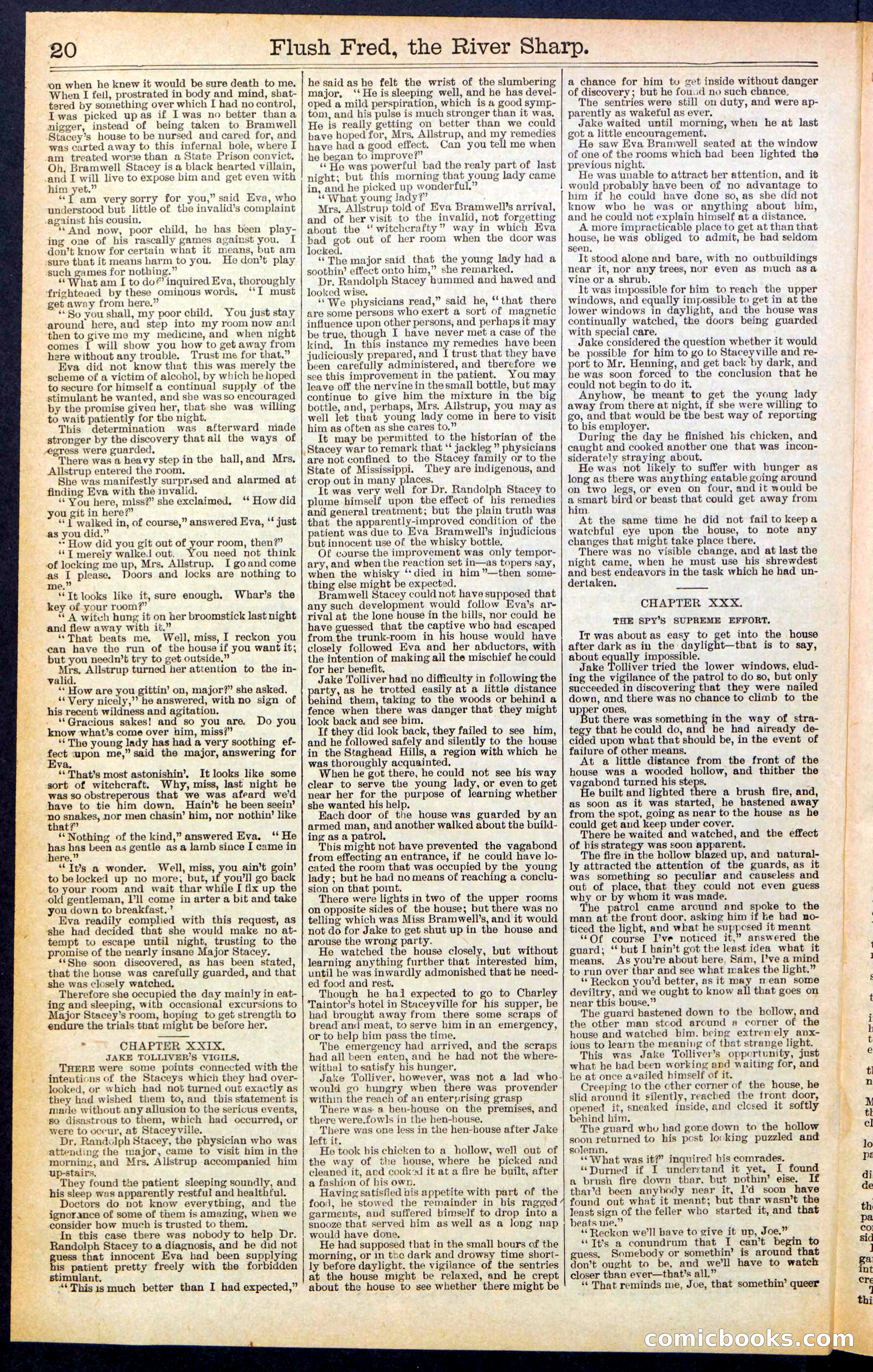 Beadle's New York Dime Library No. 483 — page 20 of 32