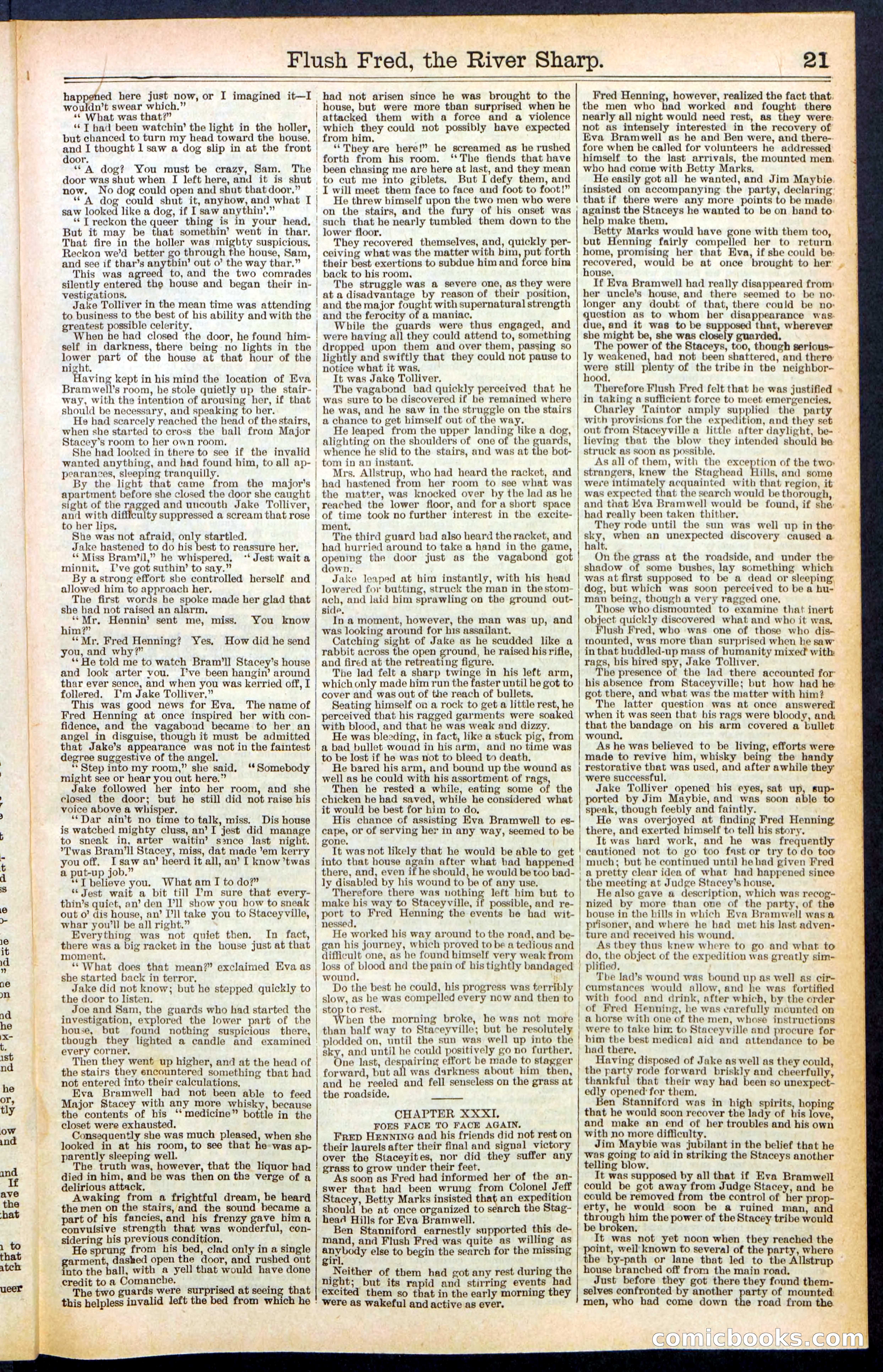 Beadle's New York Dime Library No. 483 — page 21 of 32