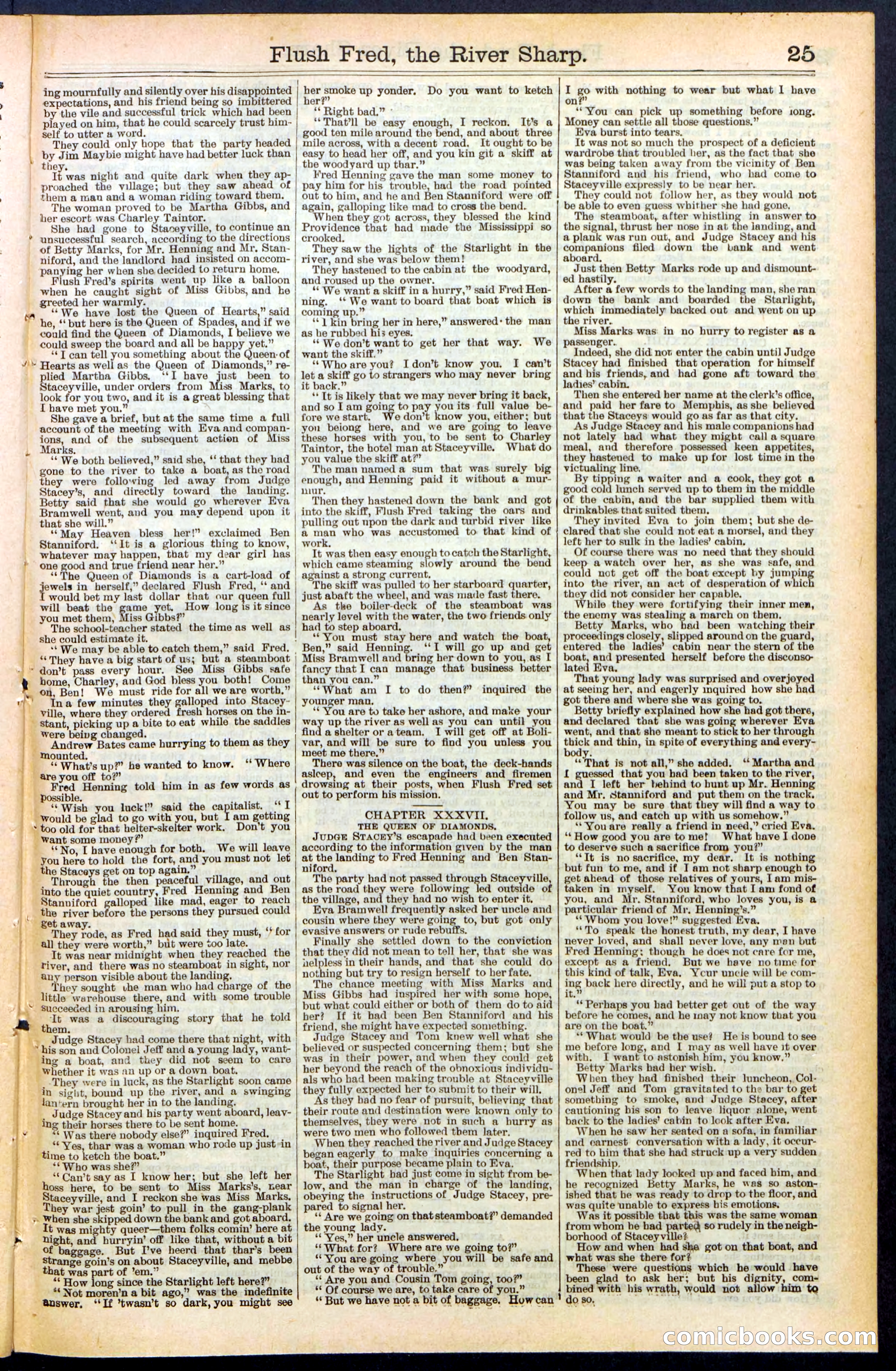 Beadle's New York Dime Library No. 483 — page 25 of 32