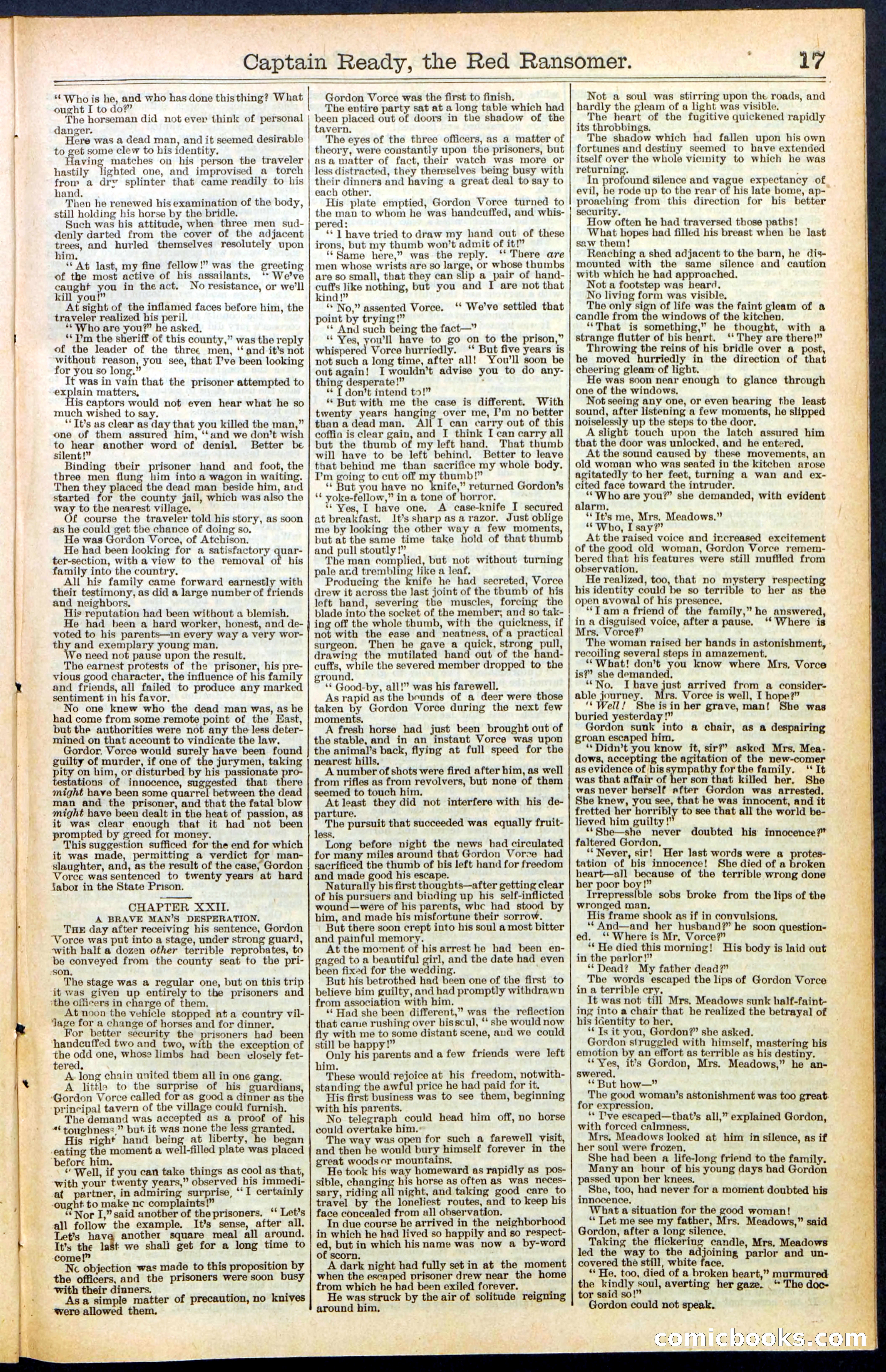 Beadle's New York Dime Library, No. 484 — page 17 of 32