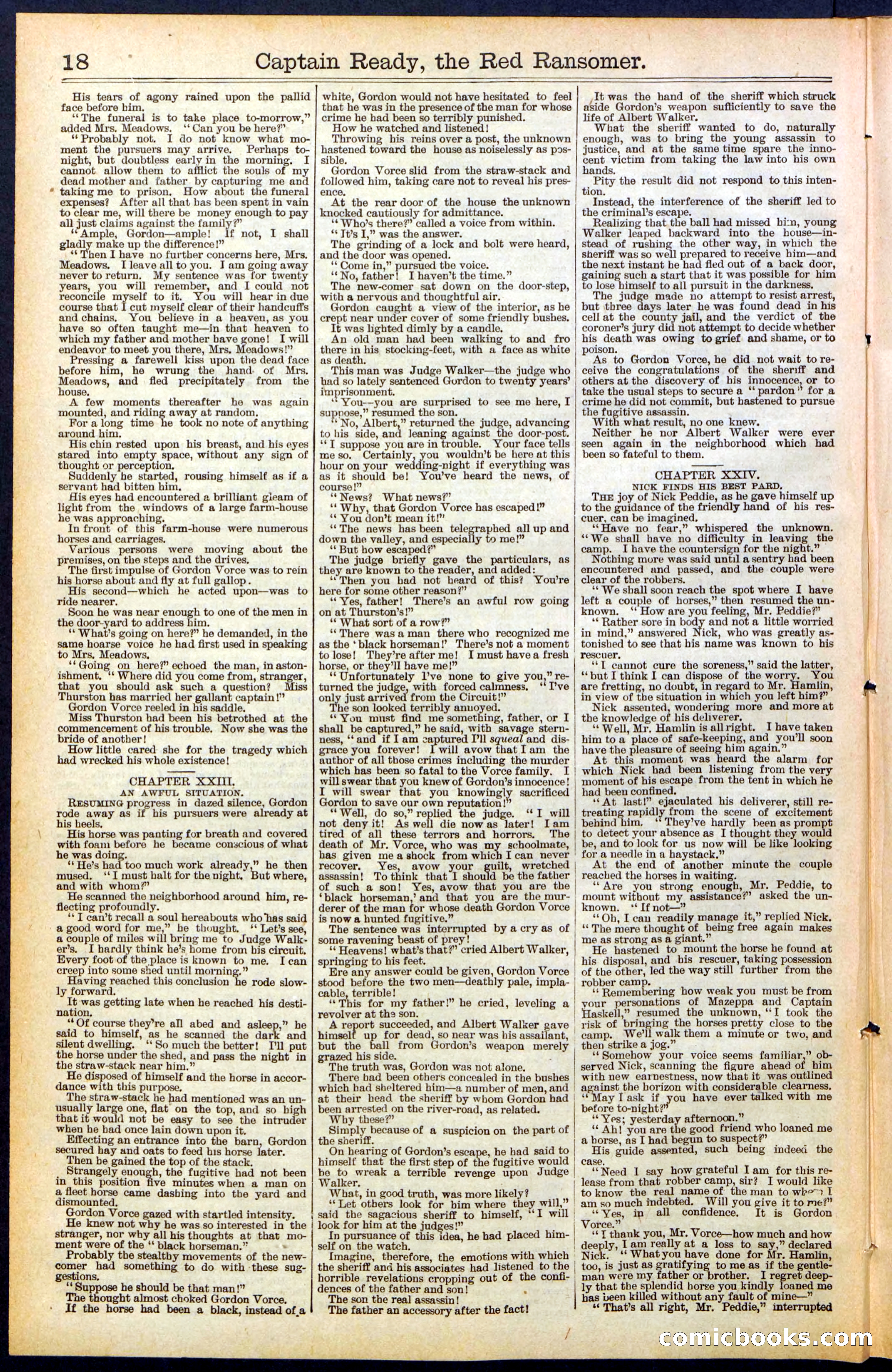 Beadle's New York Dime Library, No. 484 — page 18 of 32