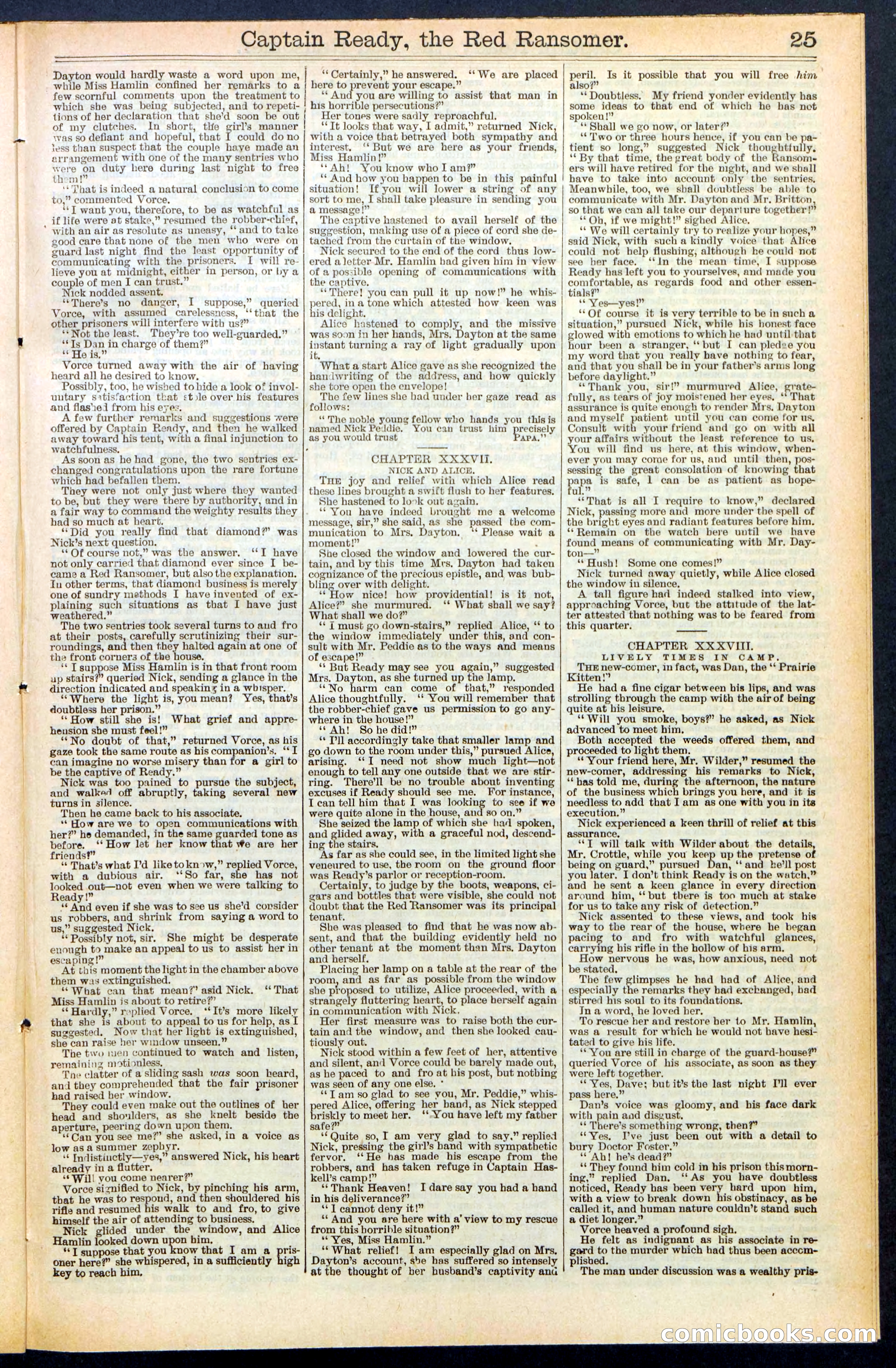 Beadle's New York Dime Library, No. 484 — page 25 of 32