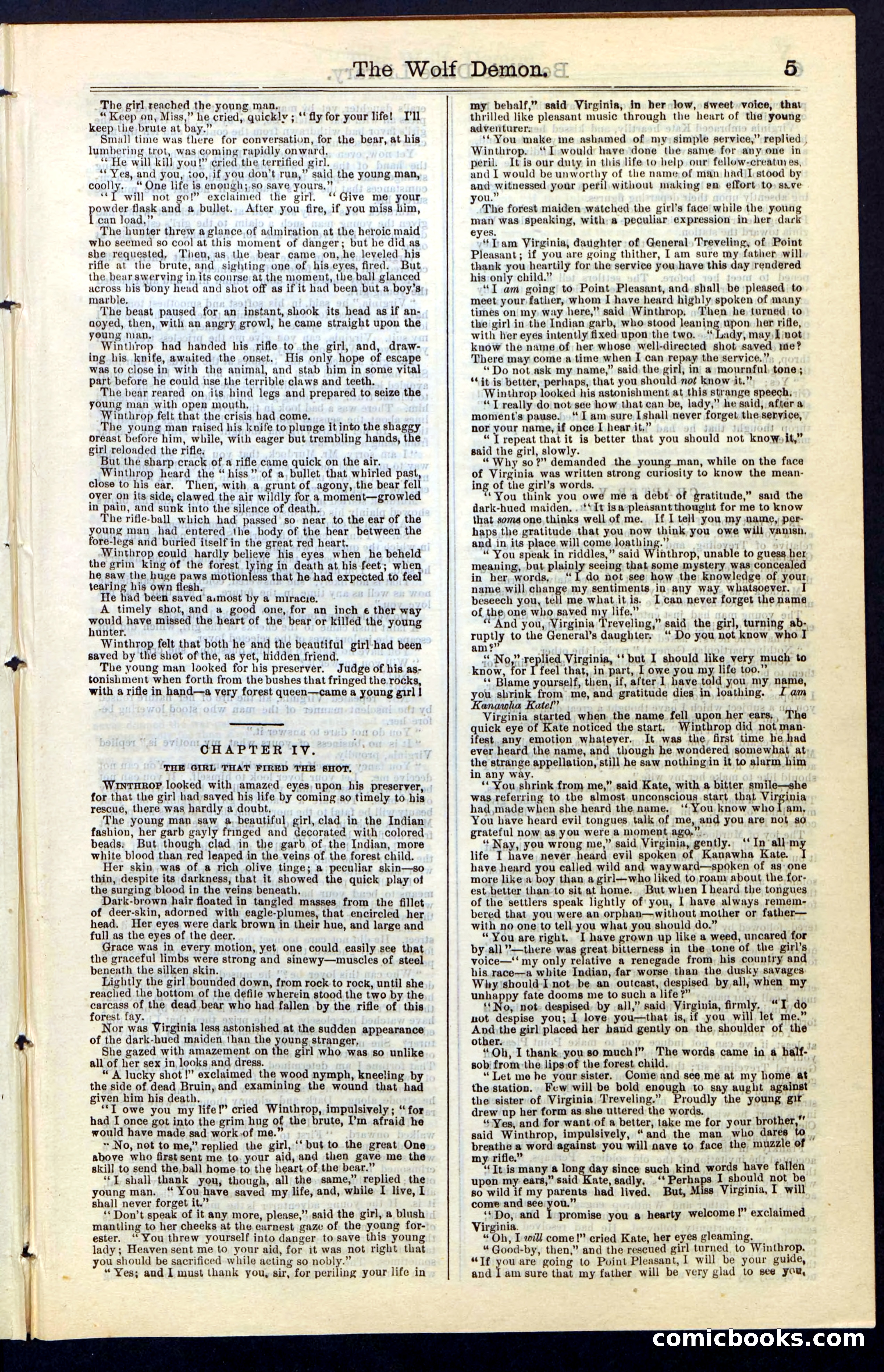 Beadle's New York Dime Library, No. 49 — page 5 of 48