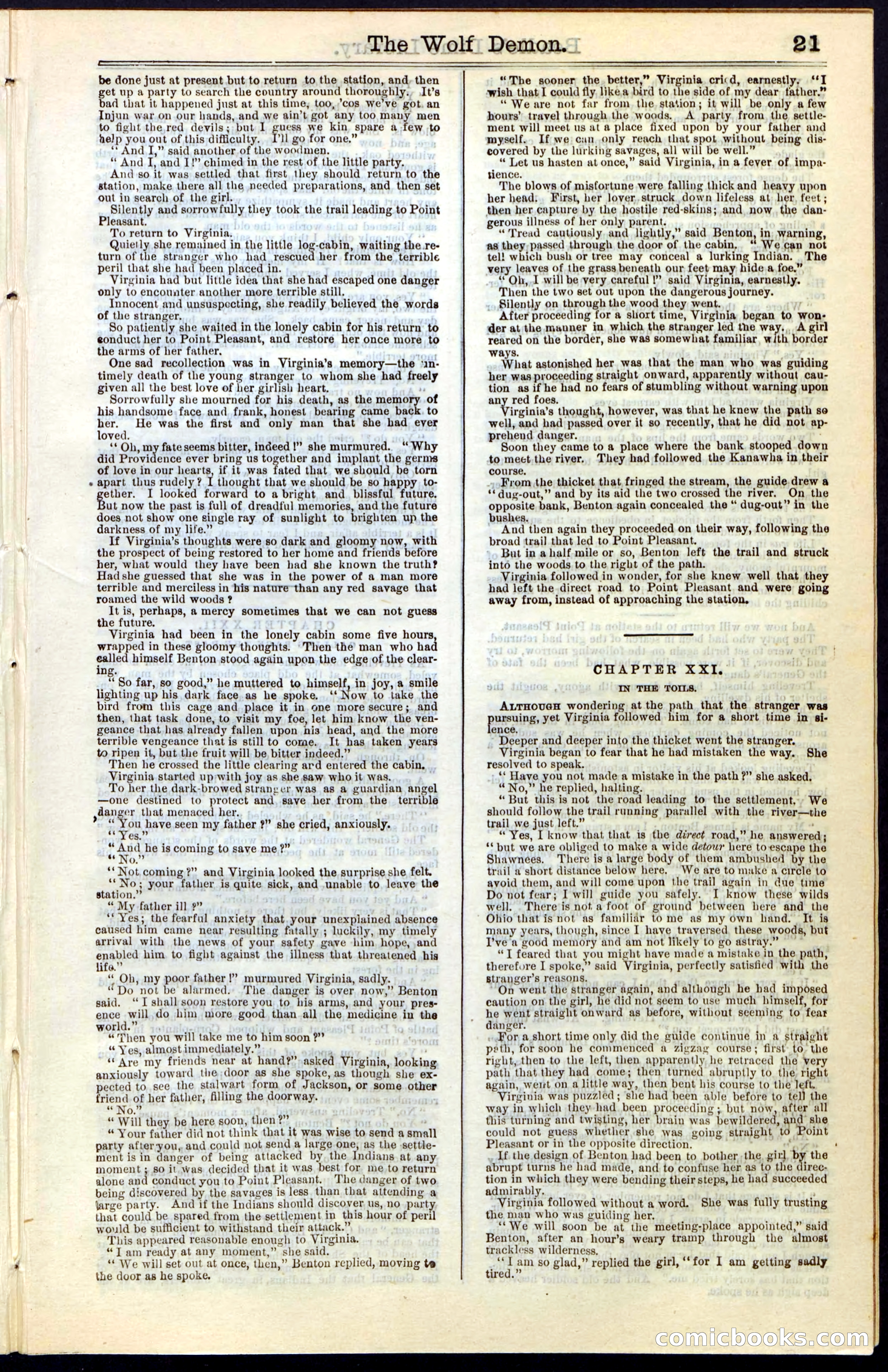 Beadle's New York Dime Library, No. 49 — page 21 of 48