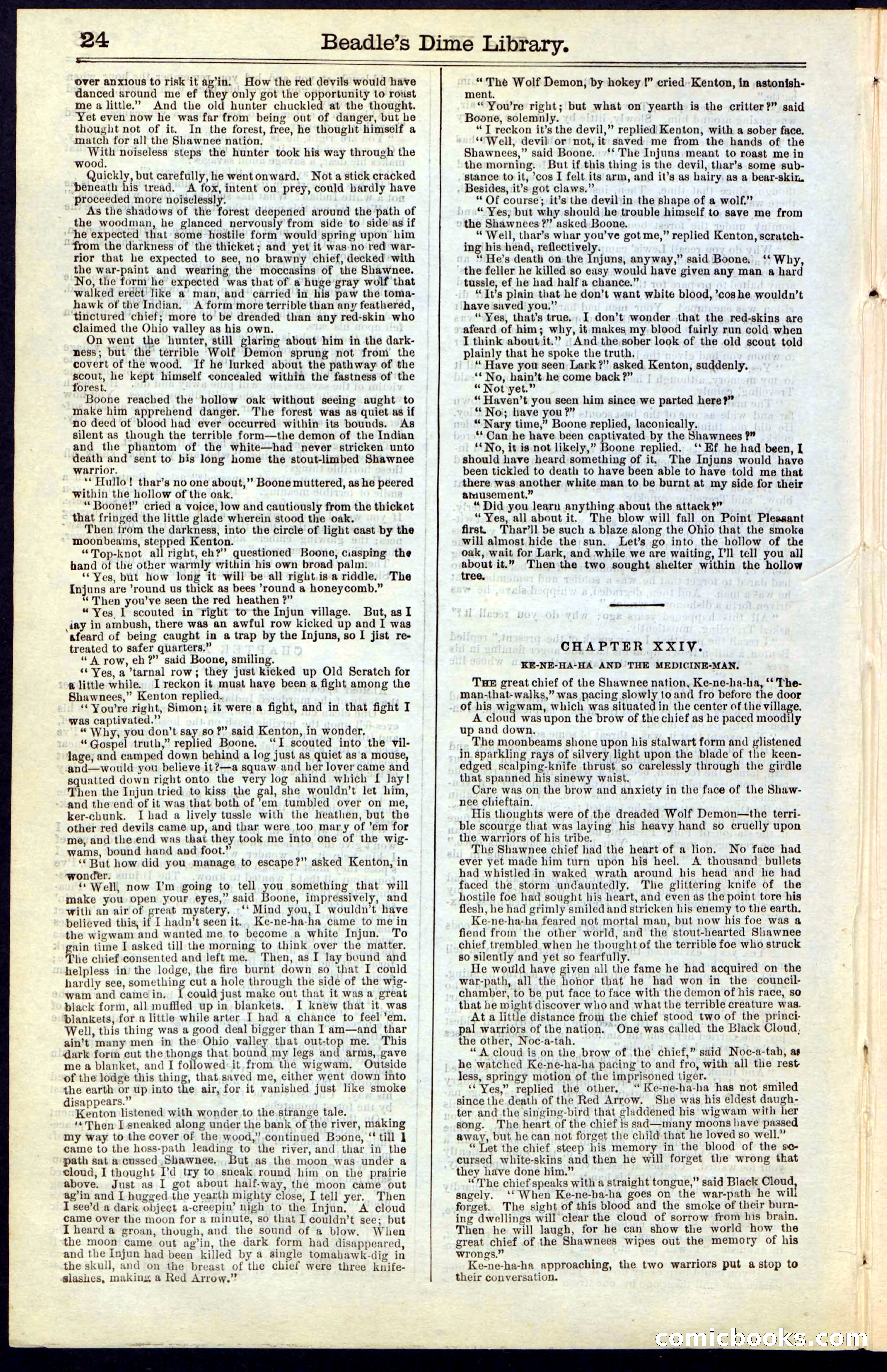 Beadle's New York Dime Library, No. 49 — page 24 of 48