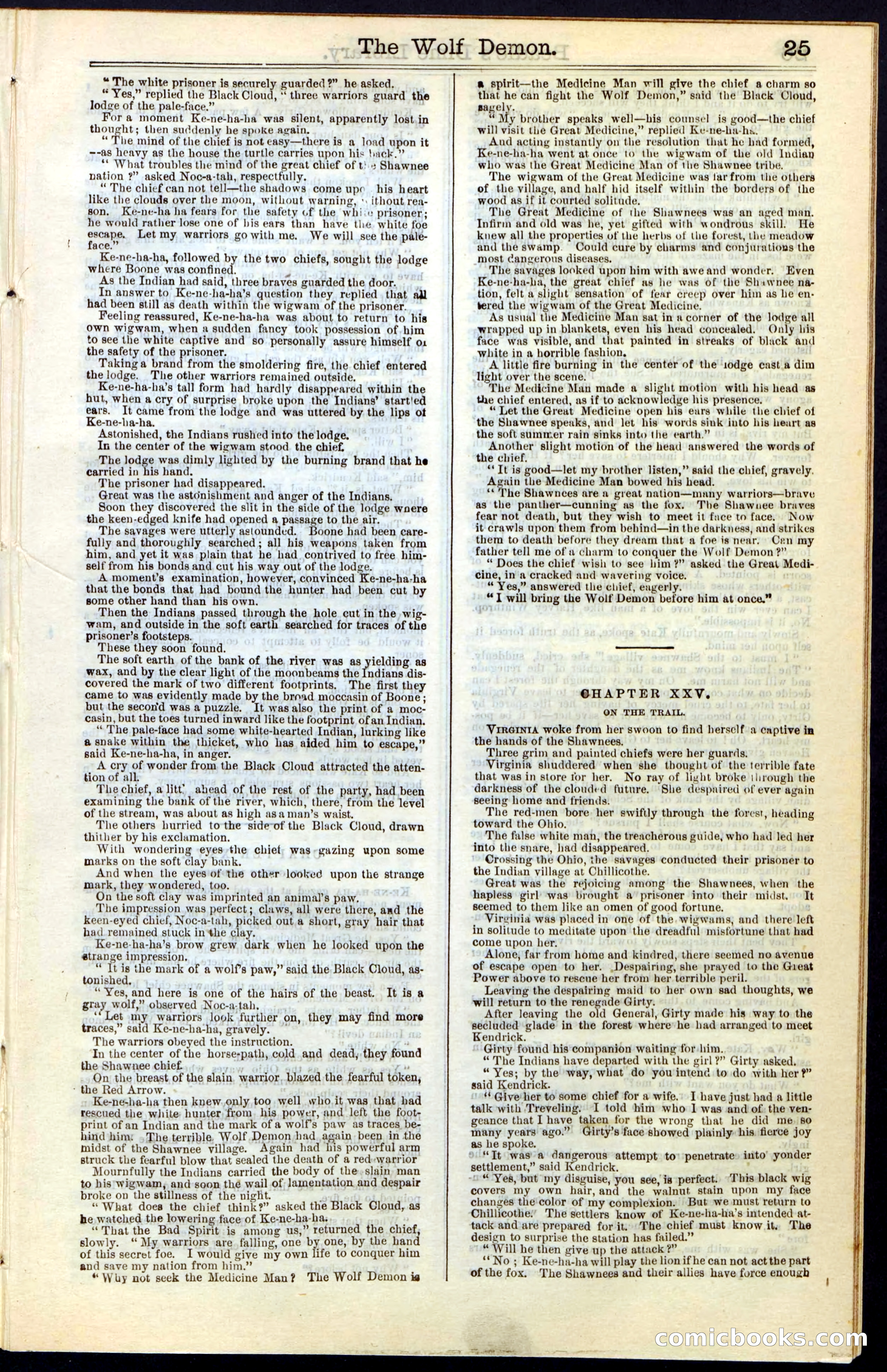 Beadle's New York Dime Library, No. 49 — page 25 of 48