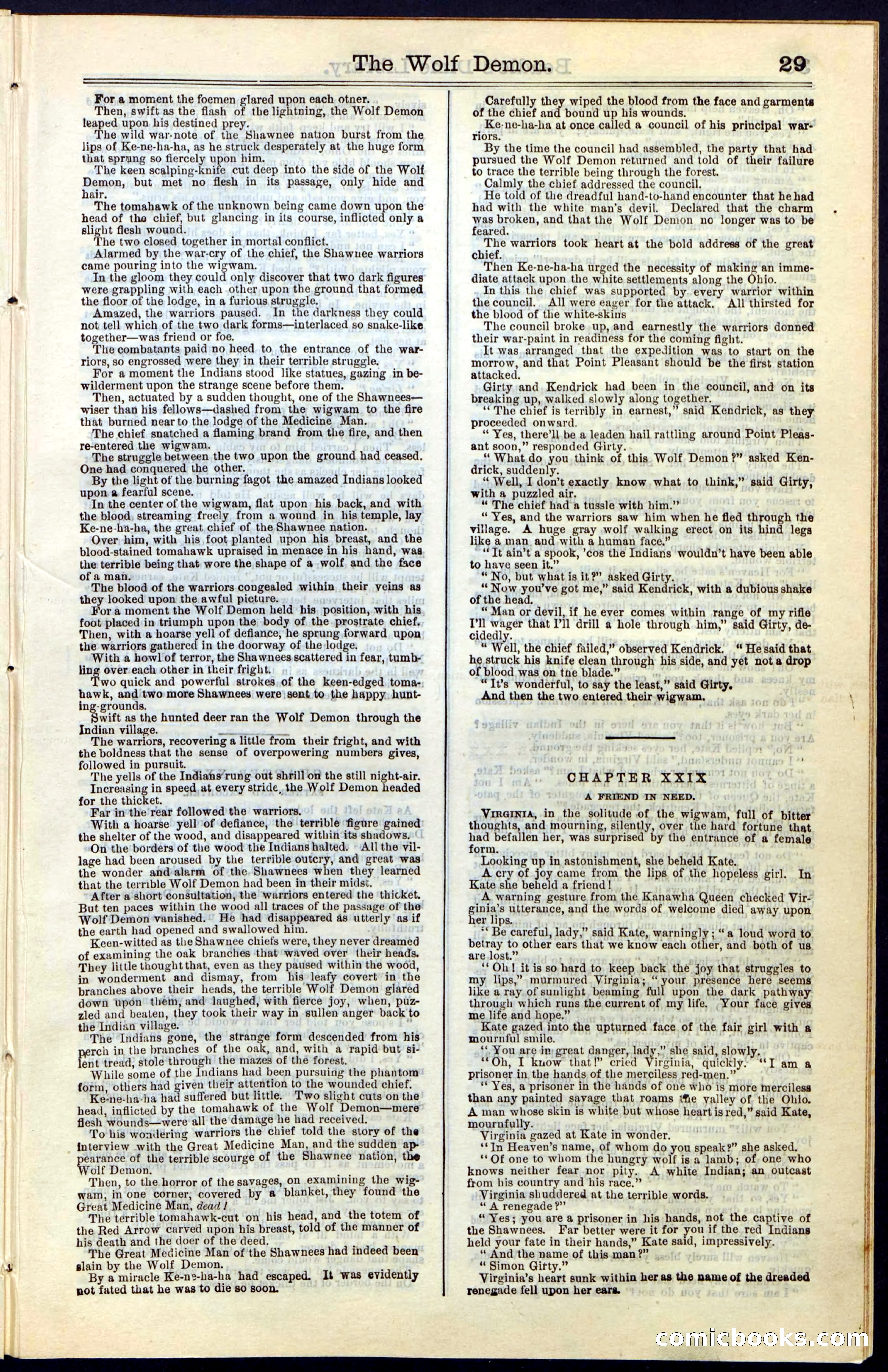 Beadle's New York Dime Library, No. 49 — page 29 of 48